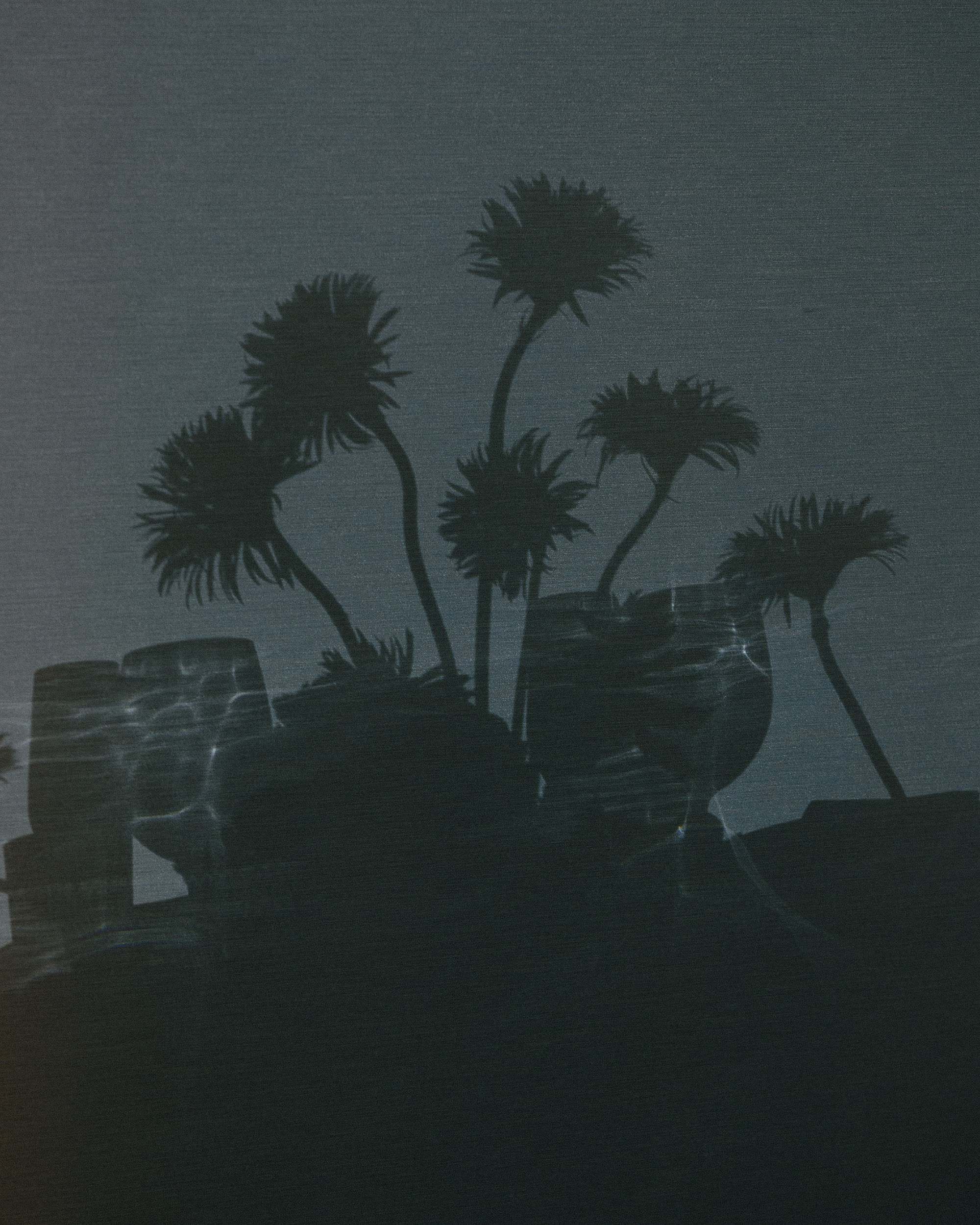 Алексей и Валерия 2025. Ксения Почтарь. Декоратор и флорист, город Владивосток