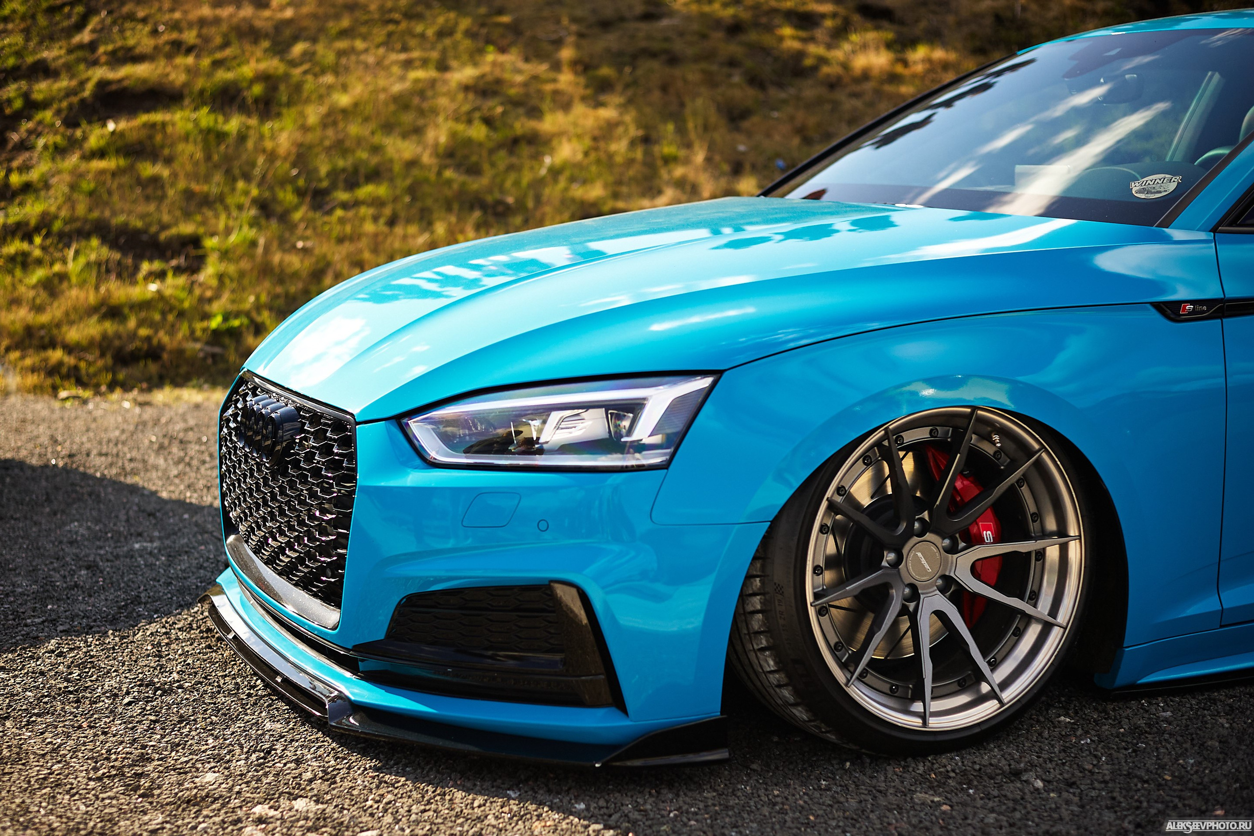 Tsunami Picnic 2020 — expo. Фотограф Алексей Алексеев