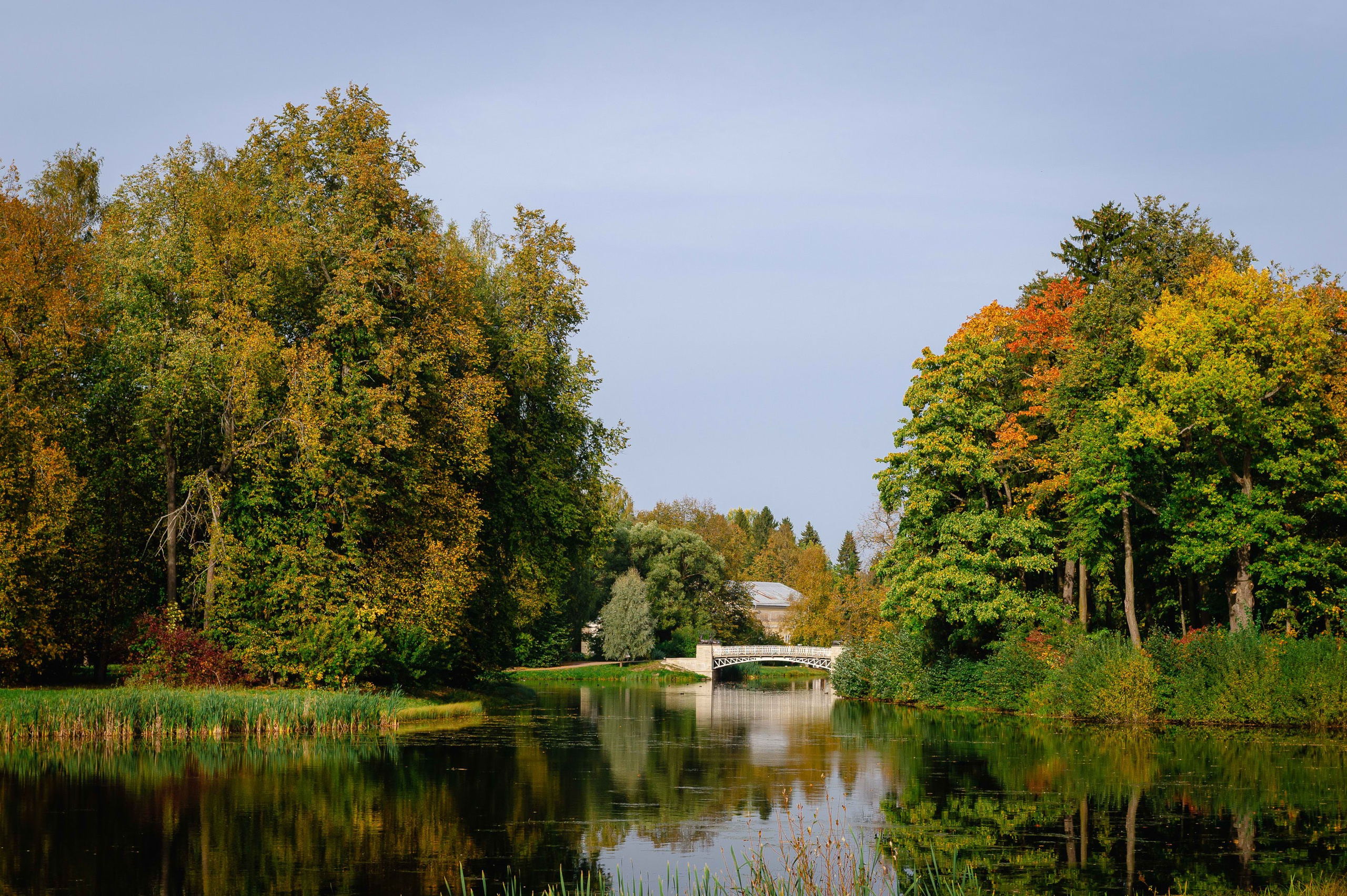 2023.09. Фотограф Алексей Алексеев