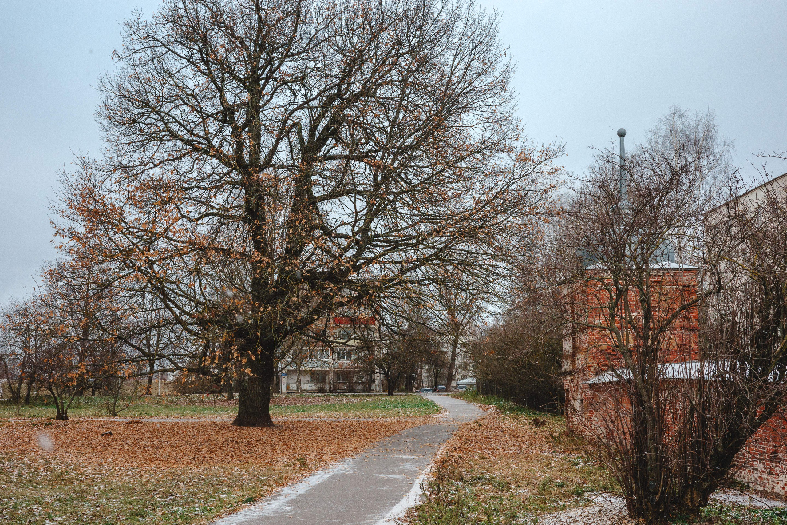 2023.11. Фотограф Алексей Алексеев