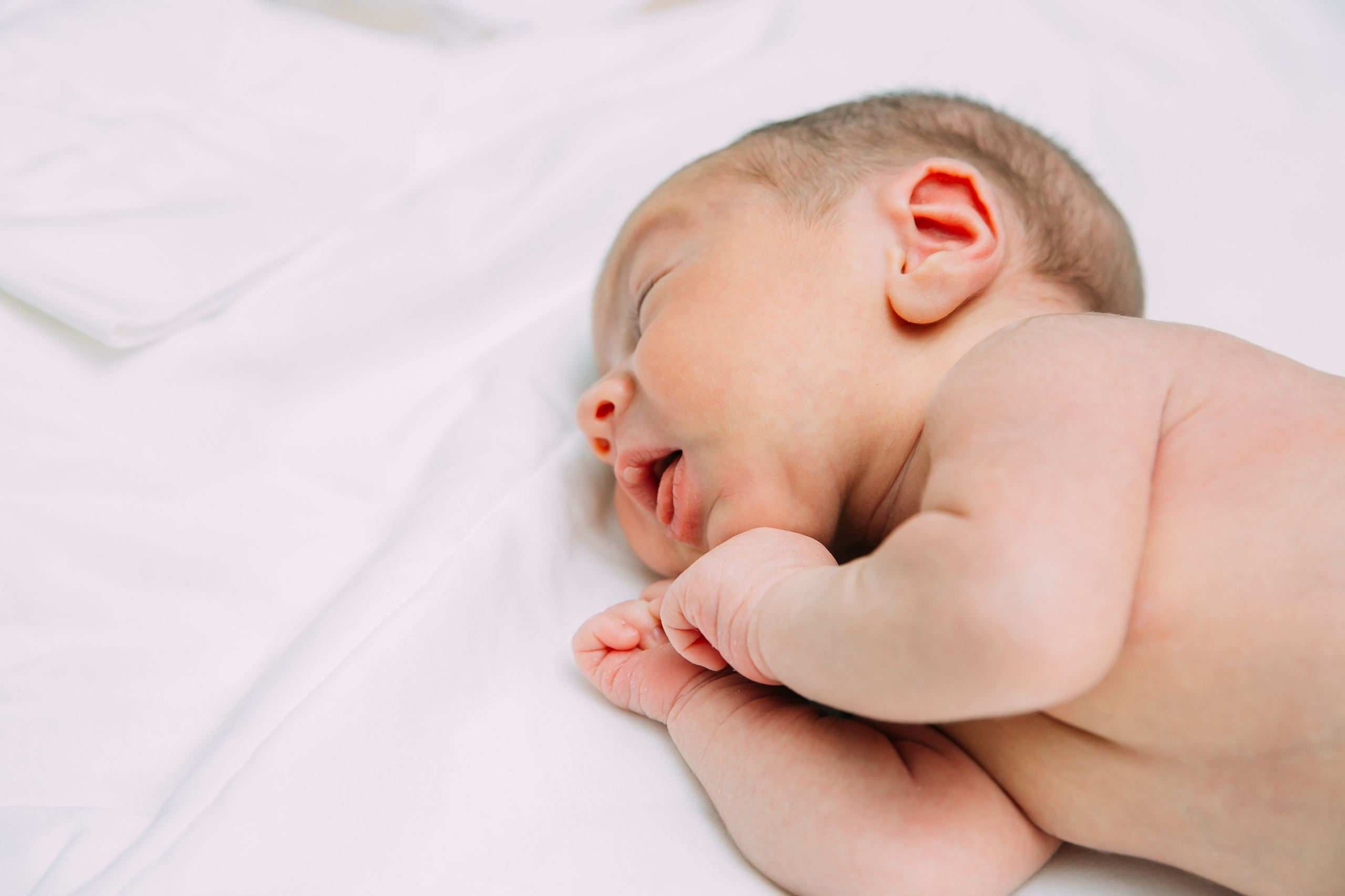 Выписка. Свадебный фотограф Кирилл Зейналов, Туапсе