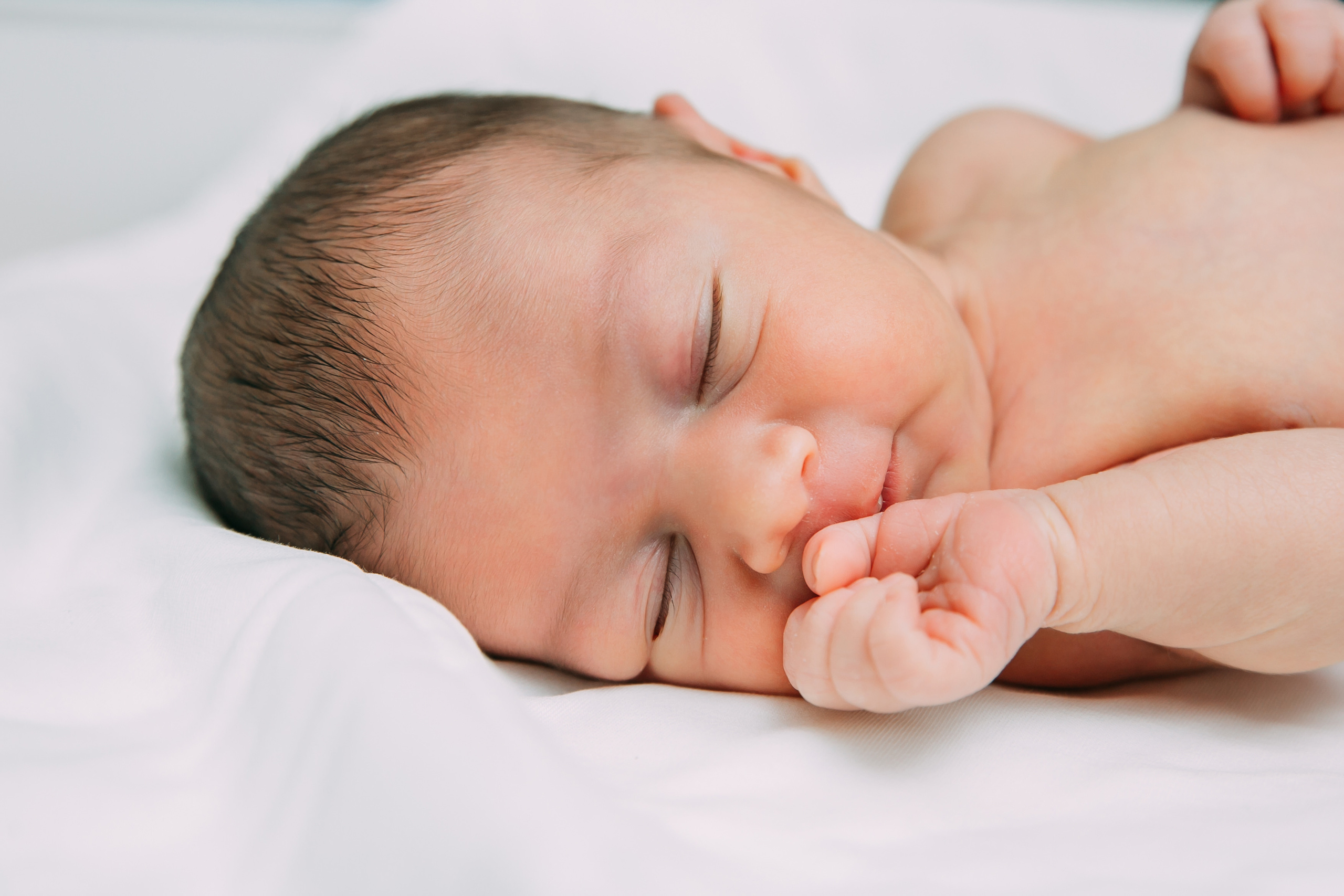 Выписка. Свадебный фотограф Кирилл Зейналов, Туапсе