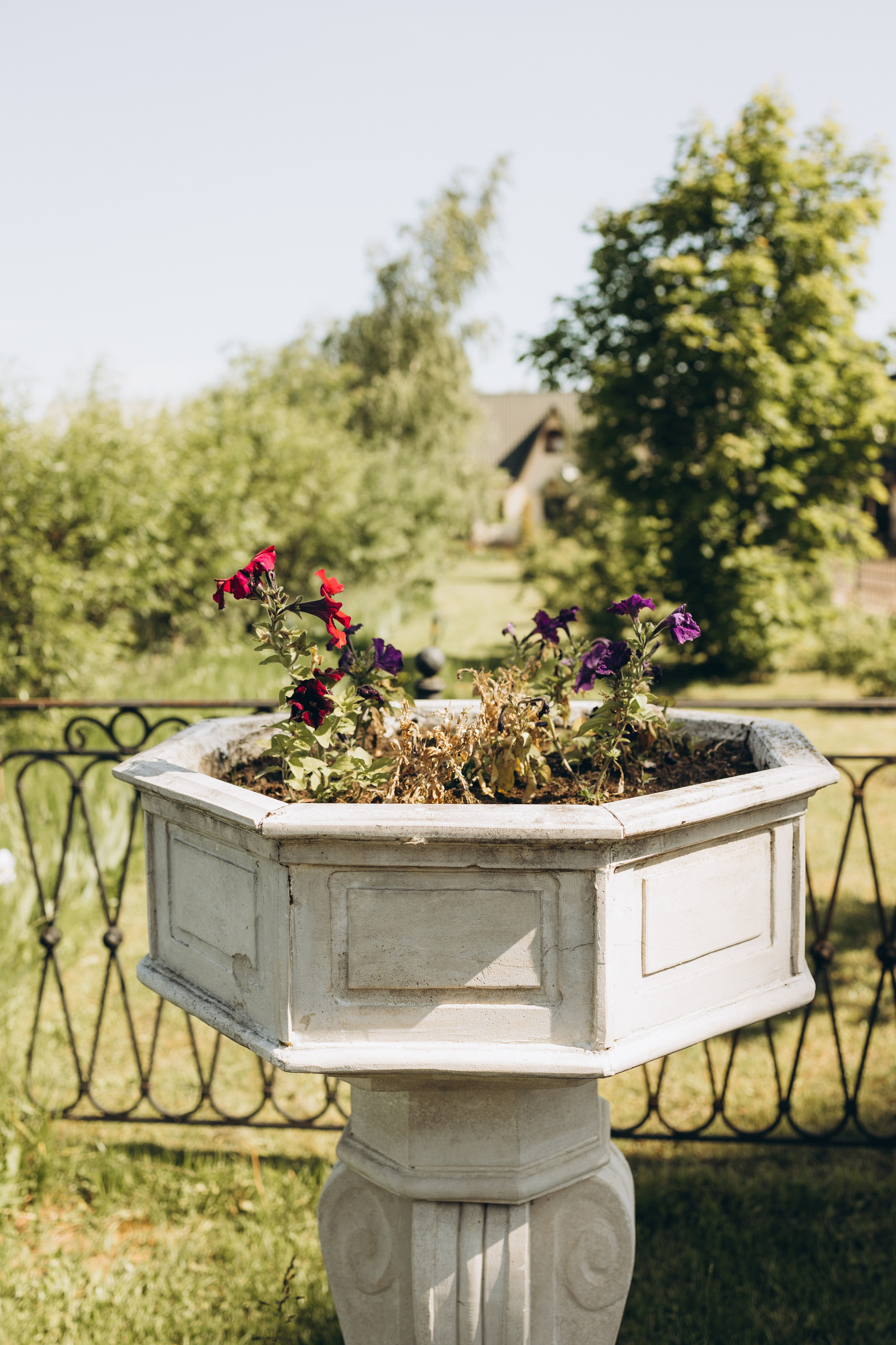 Крещение Егора. Семейный фотограф в Москве Виктория Ястребинская