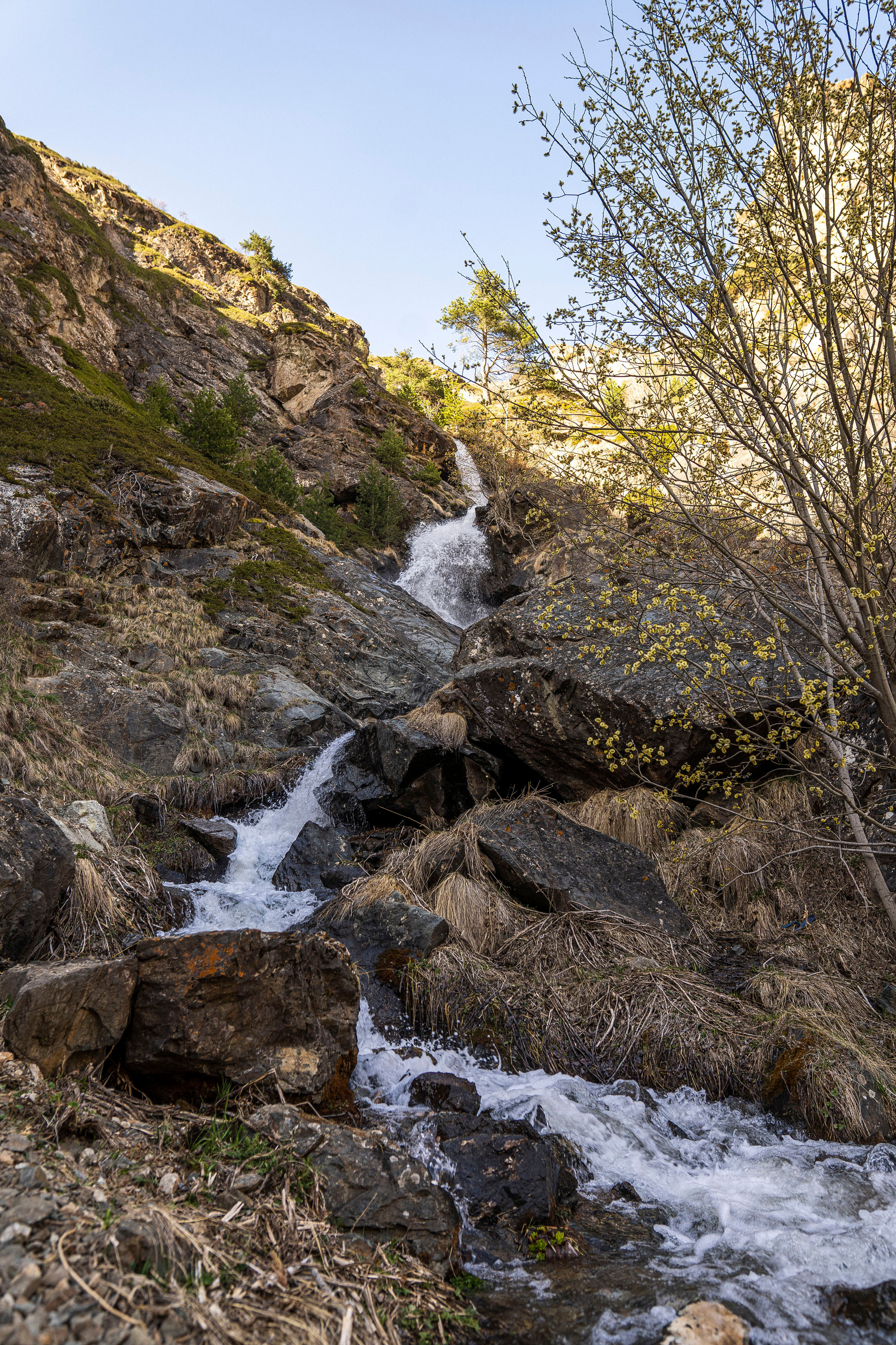 World. Фотограф Дмитрий Чередников