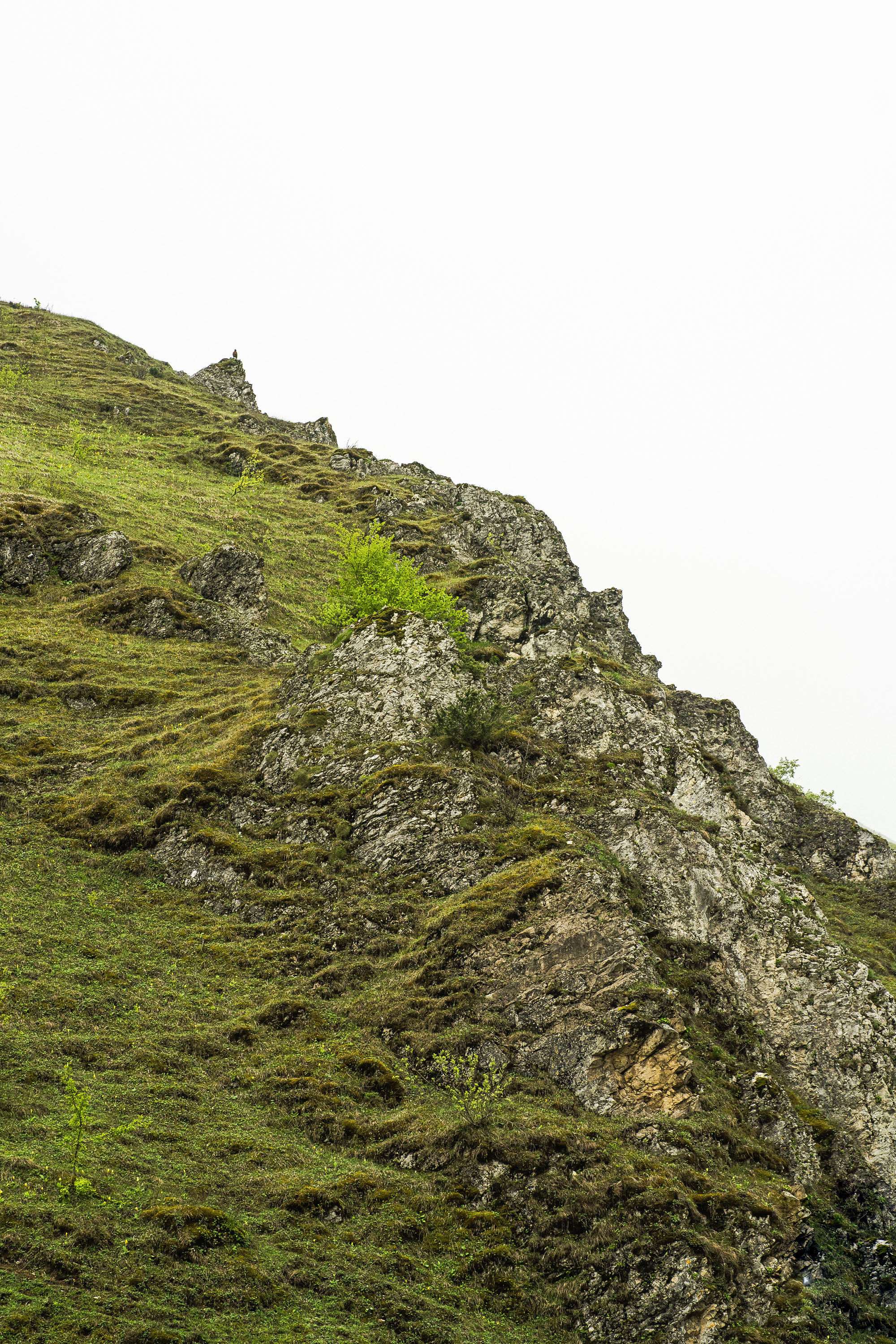 World. Фотограф Дмитрий Чередников