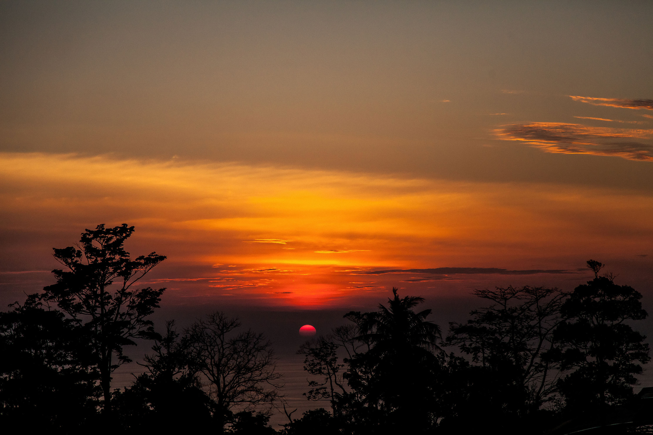 World. Фотограф Дмитрий Чередников