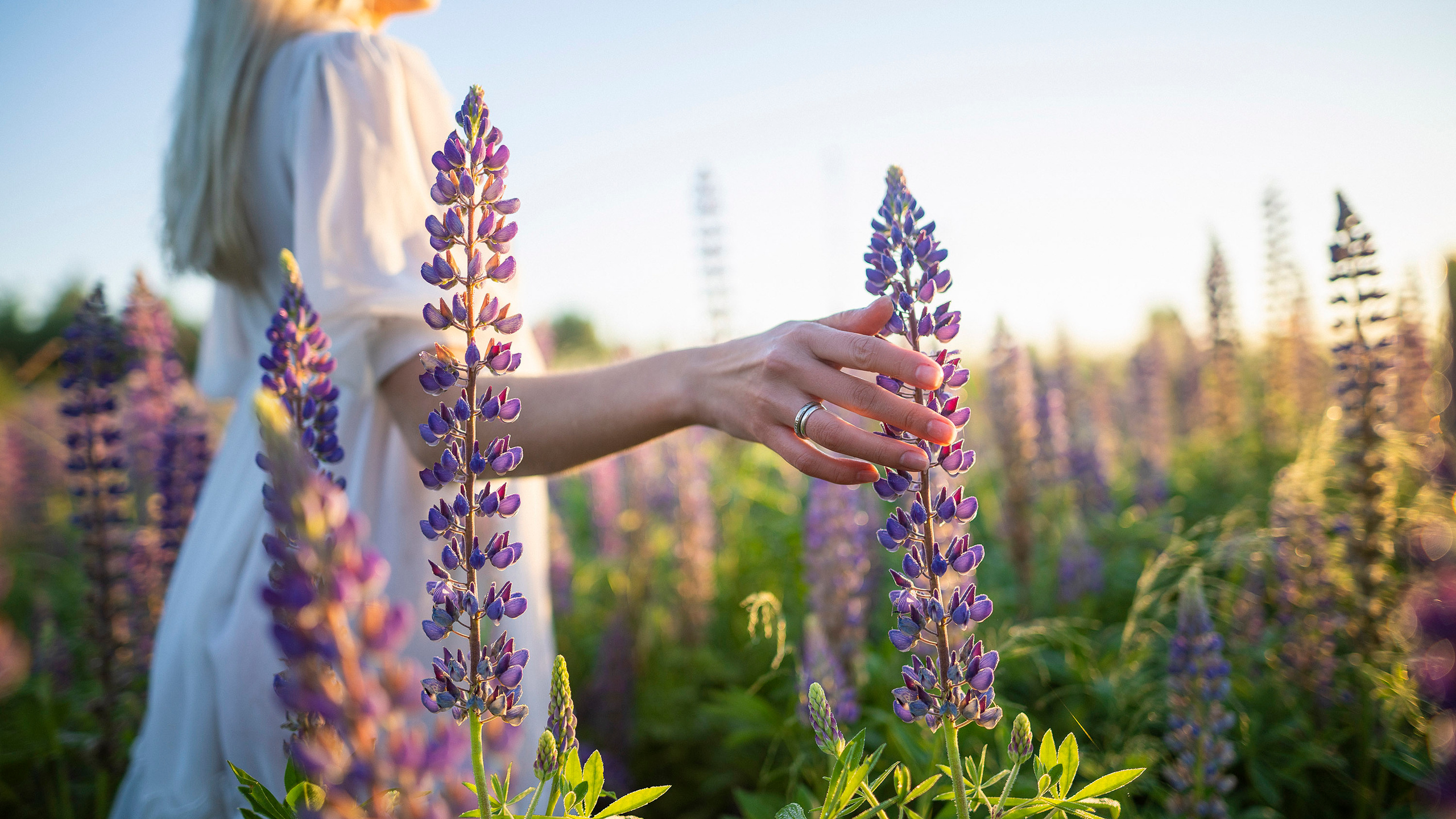 Sensuality. Фотограф Дмитрий Чередников