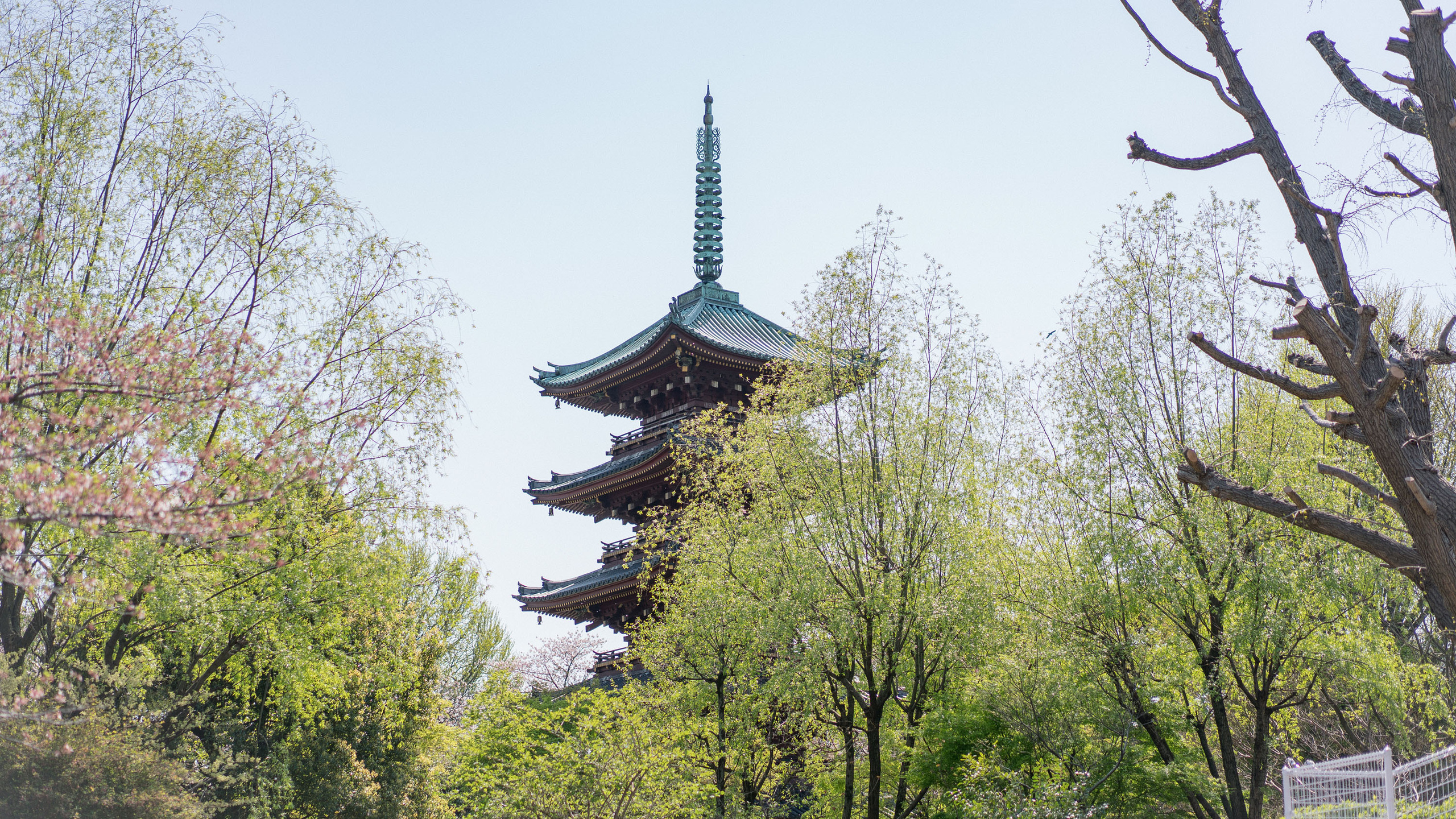 World. Фотограф Дмитрий Чередников