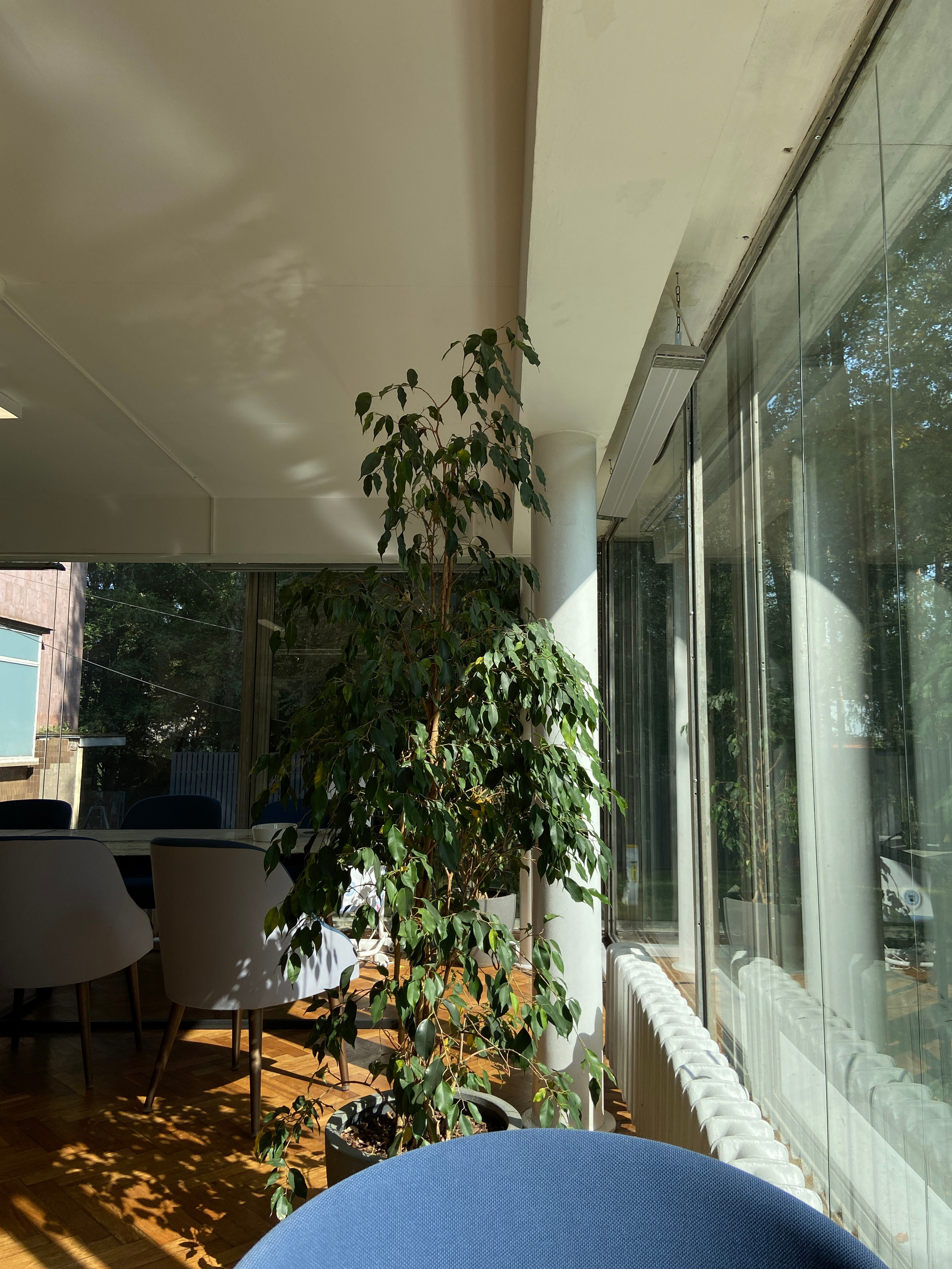 Переделкино. Татьян гертье