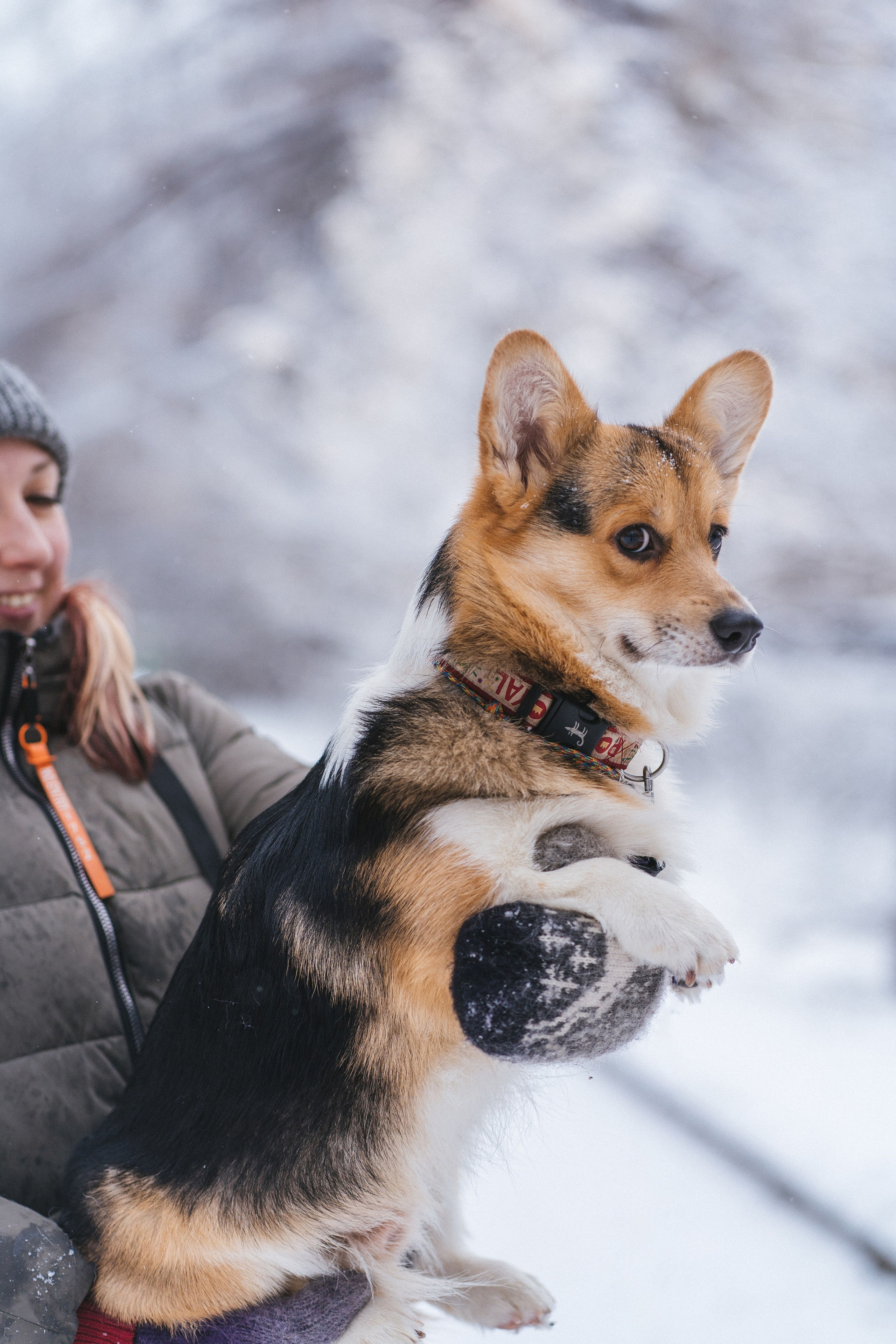 Каспер и Полина. Свадебный фотограф в Москве Анна Полушина
