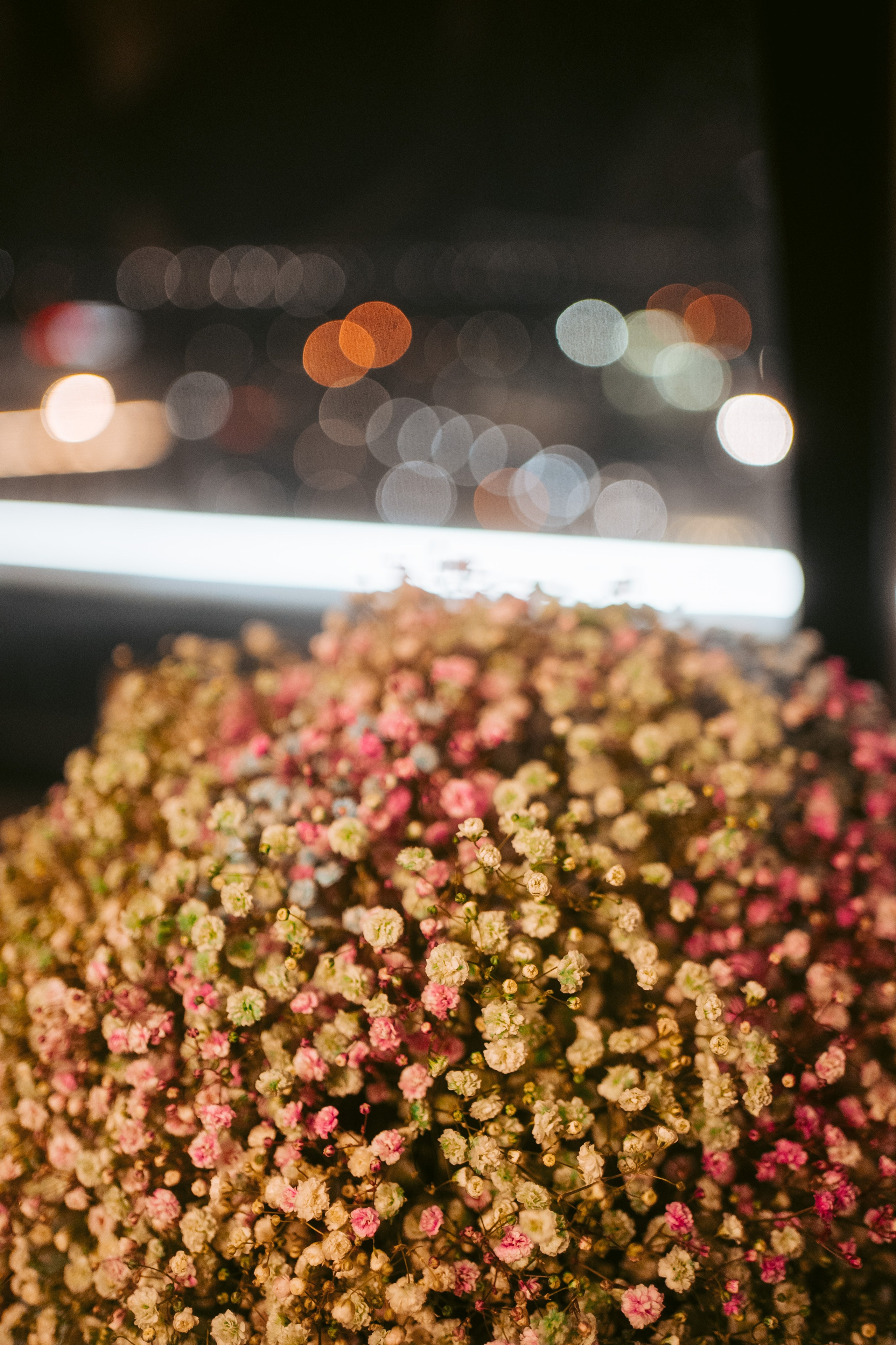 День рождения в Milton Air. Фотограф на любое событие в Кемерово