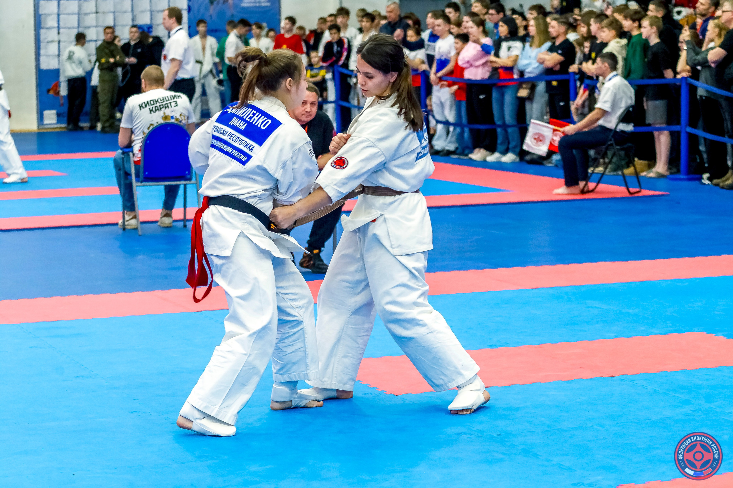 Международный турнир по киокушин «Открытый кубок Seiken». Репортажная съемка в Москве и области. Анималистика