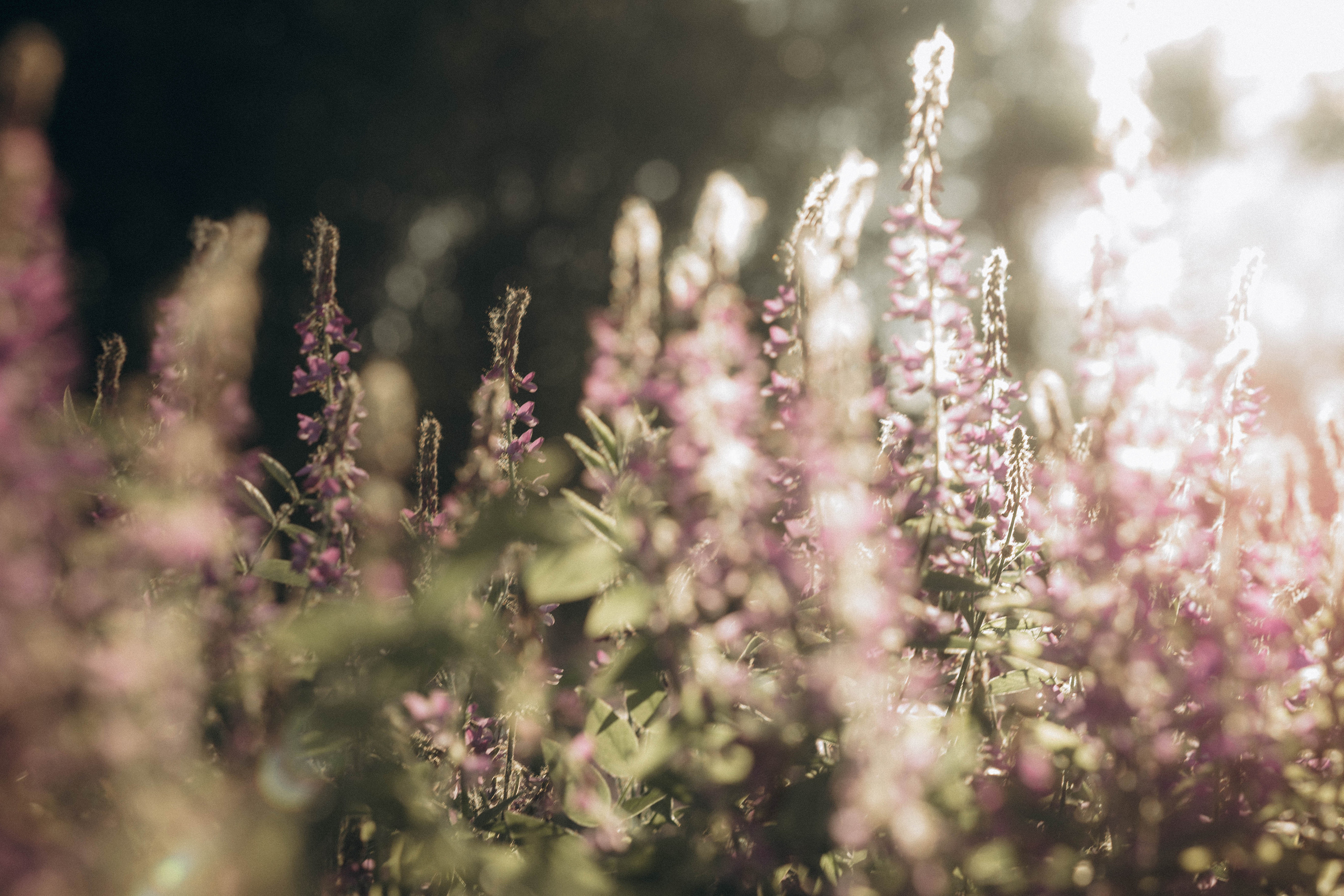 Ксения. Life style photographer