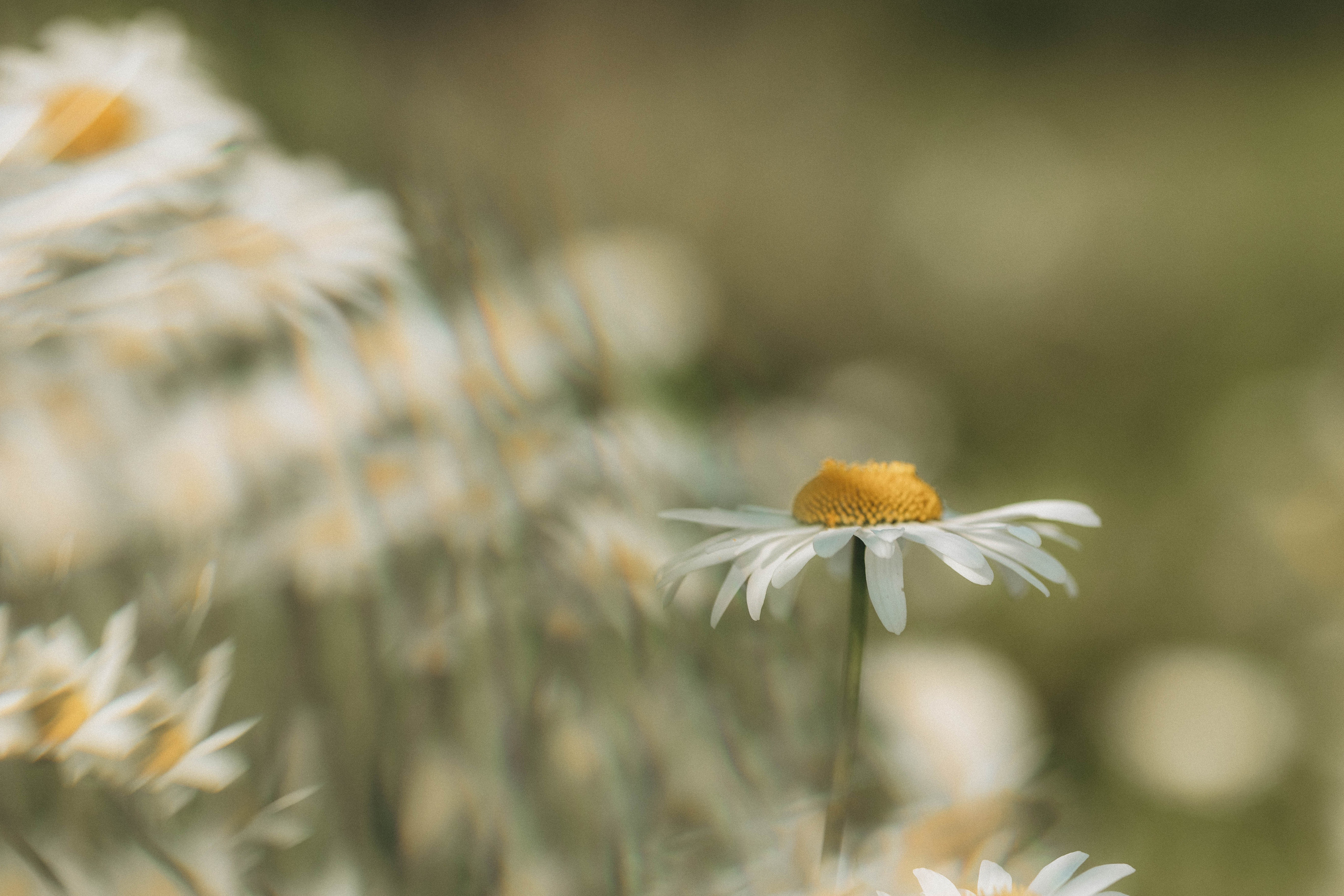 Ольга и Ксения. Life style photographer