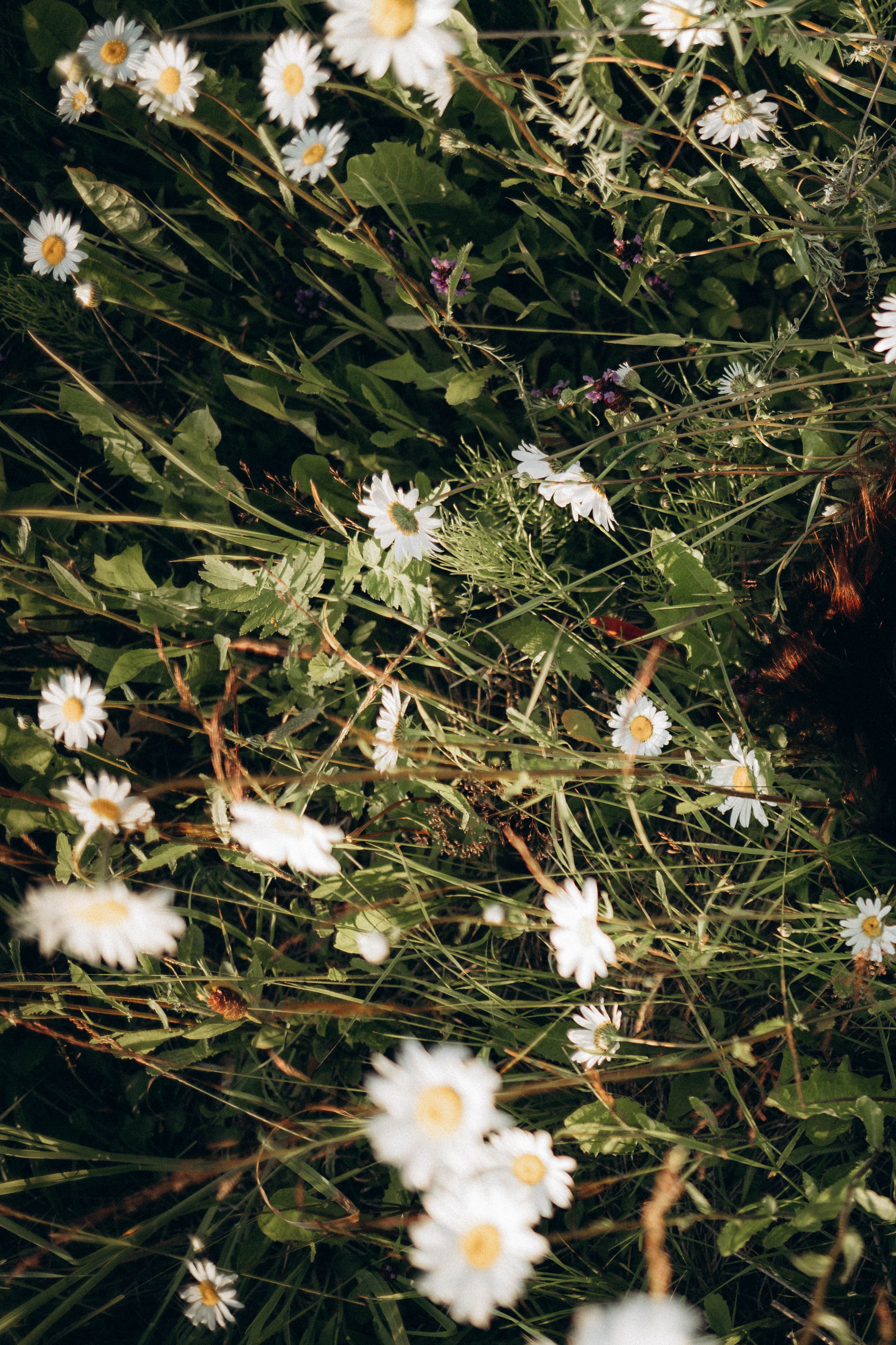 Ольга и Ксения. Life style photographer