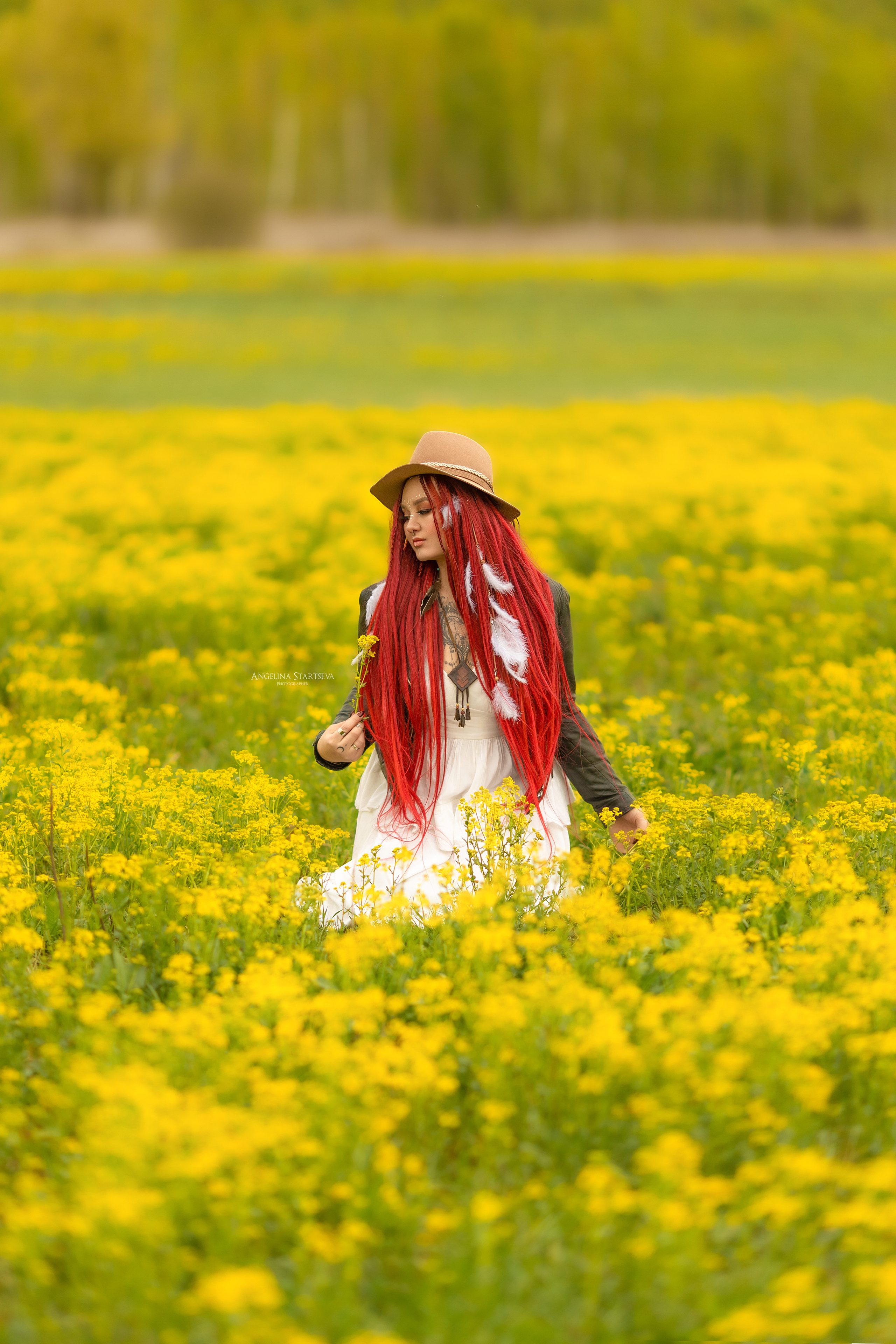 фотограф в рапсовых полях 