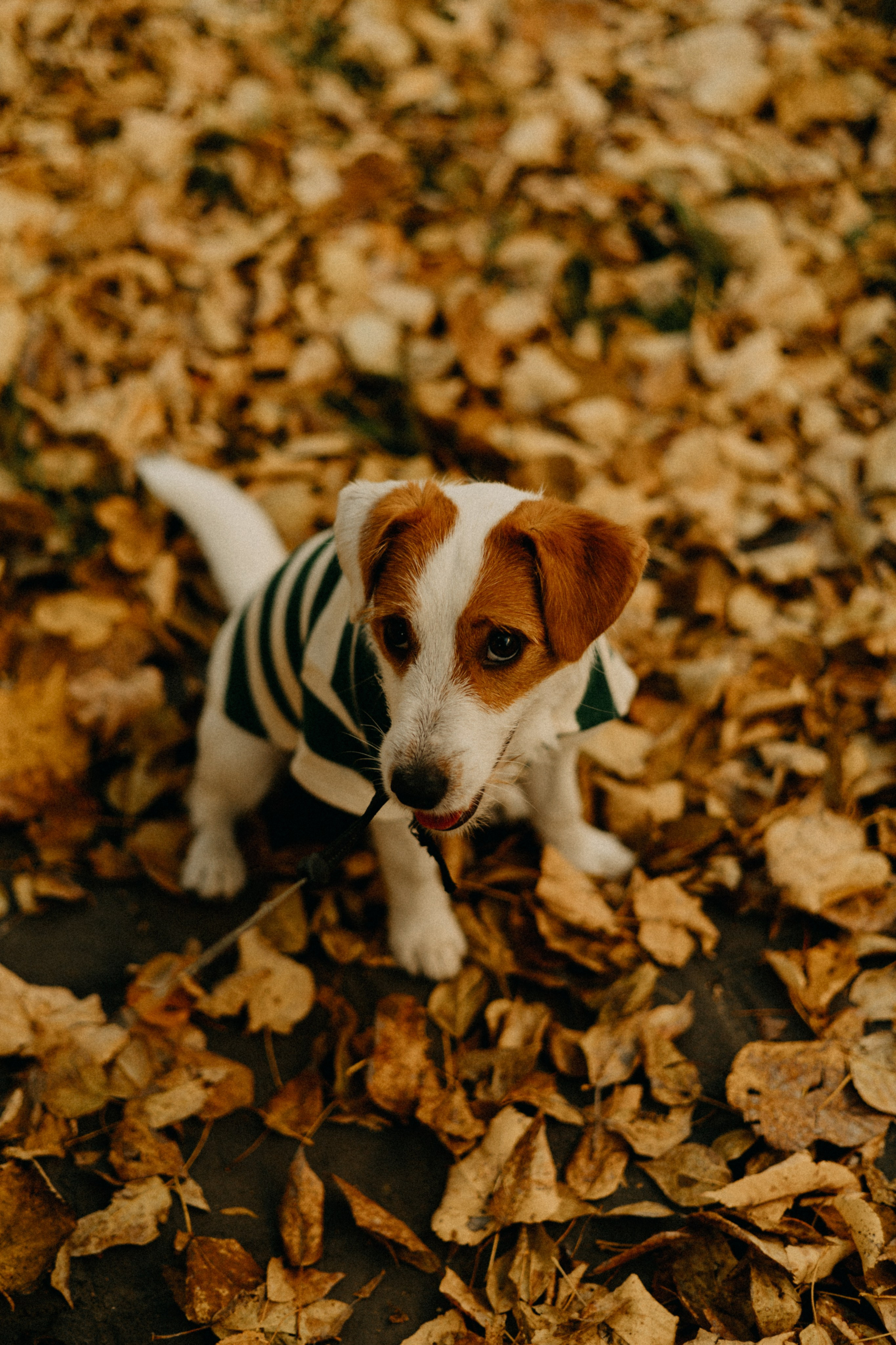 Прогулка втроём. Фотограф Настя Леонова