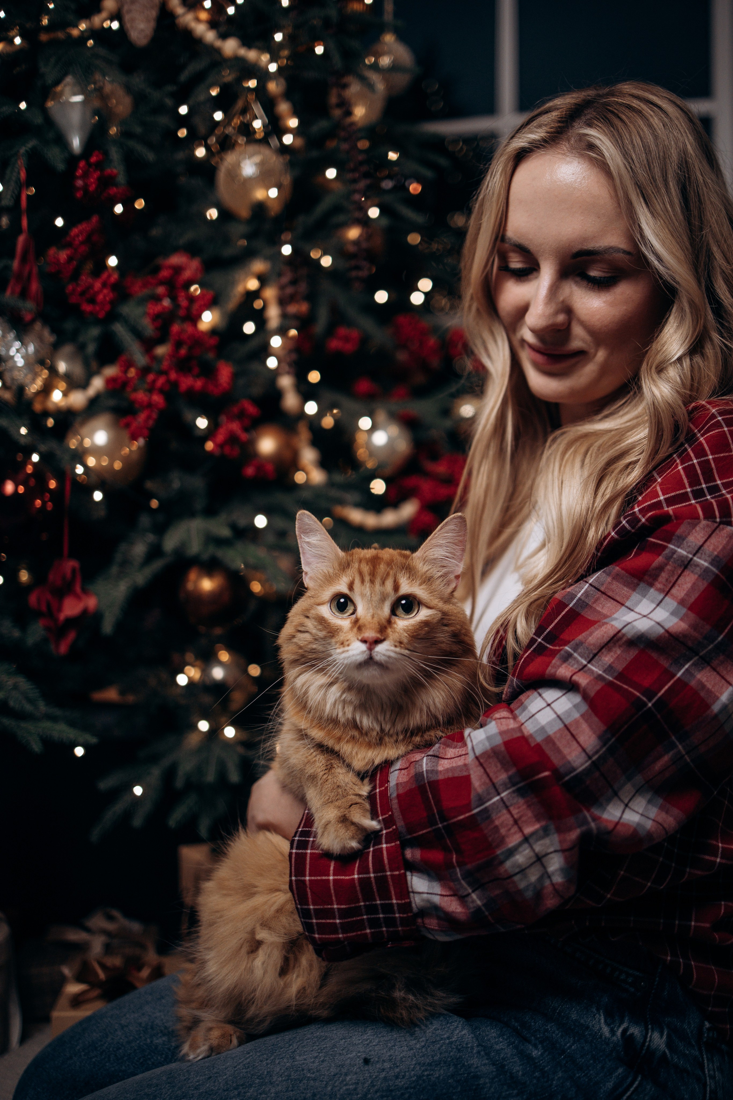 Эля и Франц. Фотограф — Анималист | Санкт-Петербург