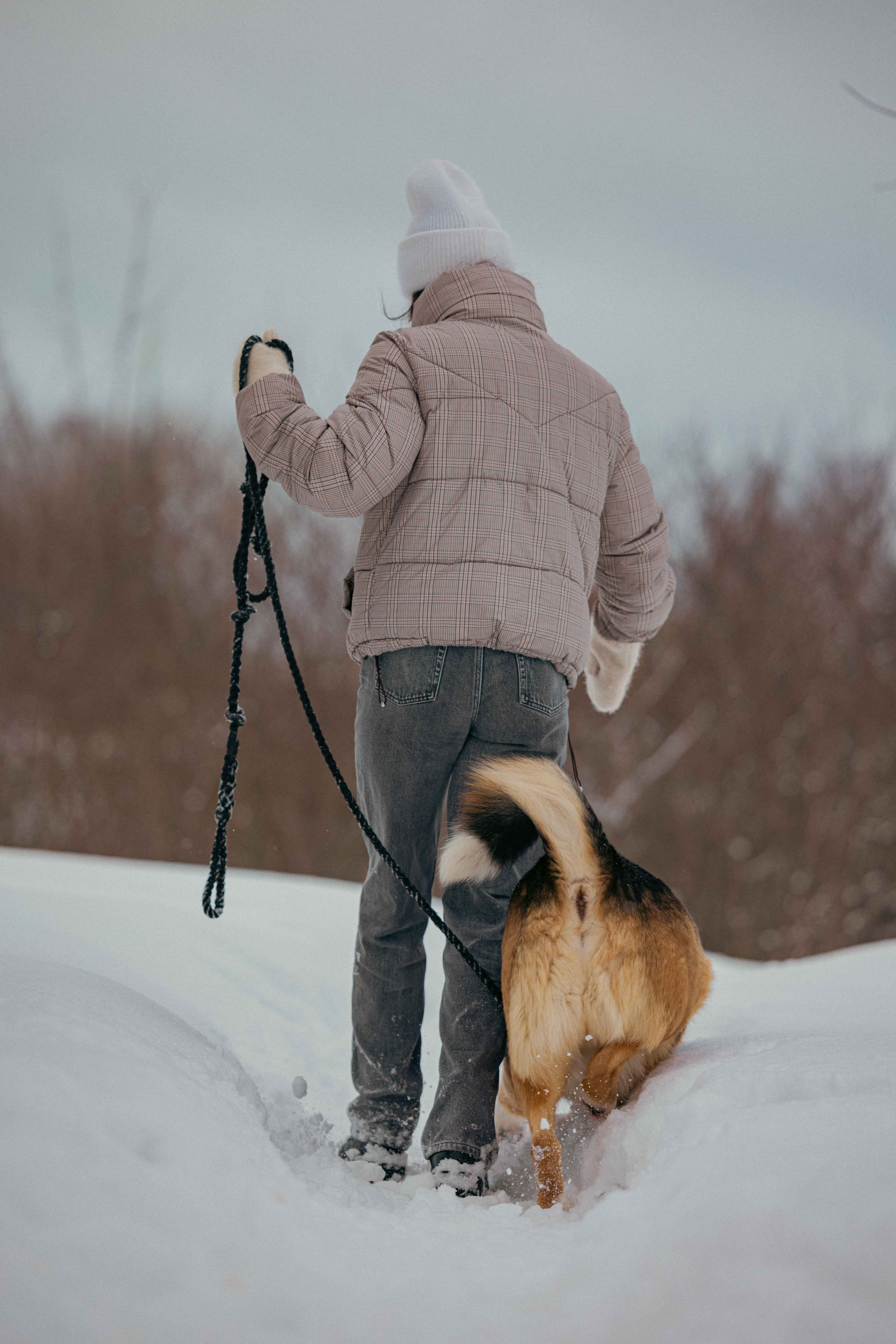 Петя. Фотограф-анималист в Москве Лера Черноног