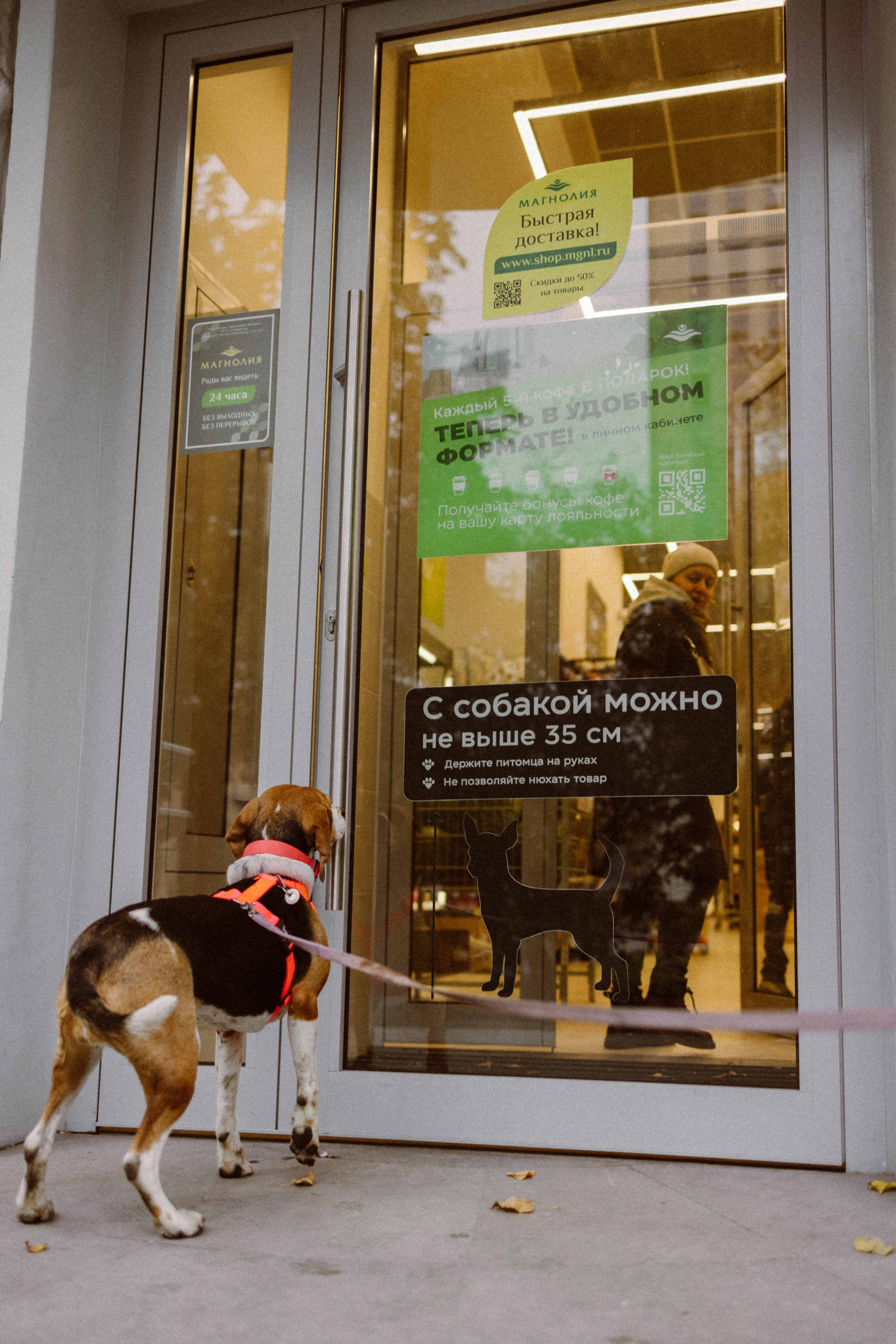 Света и Ива. Фотограф-анималист в Москве Лера Черноног