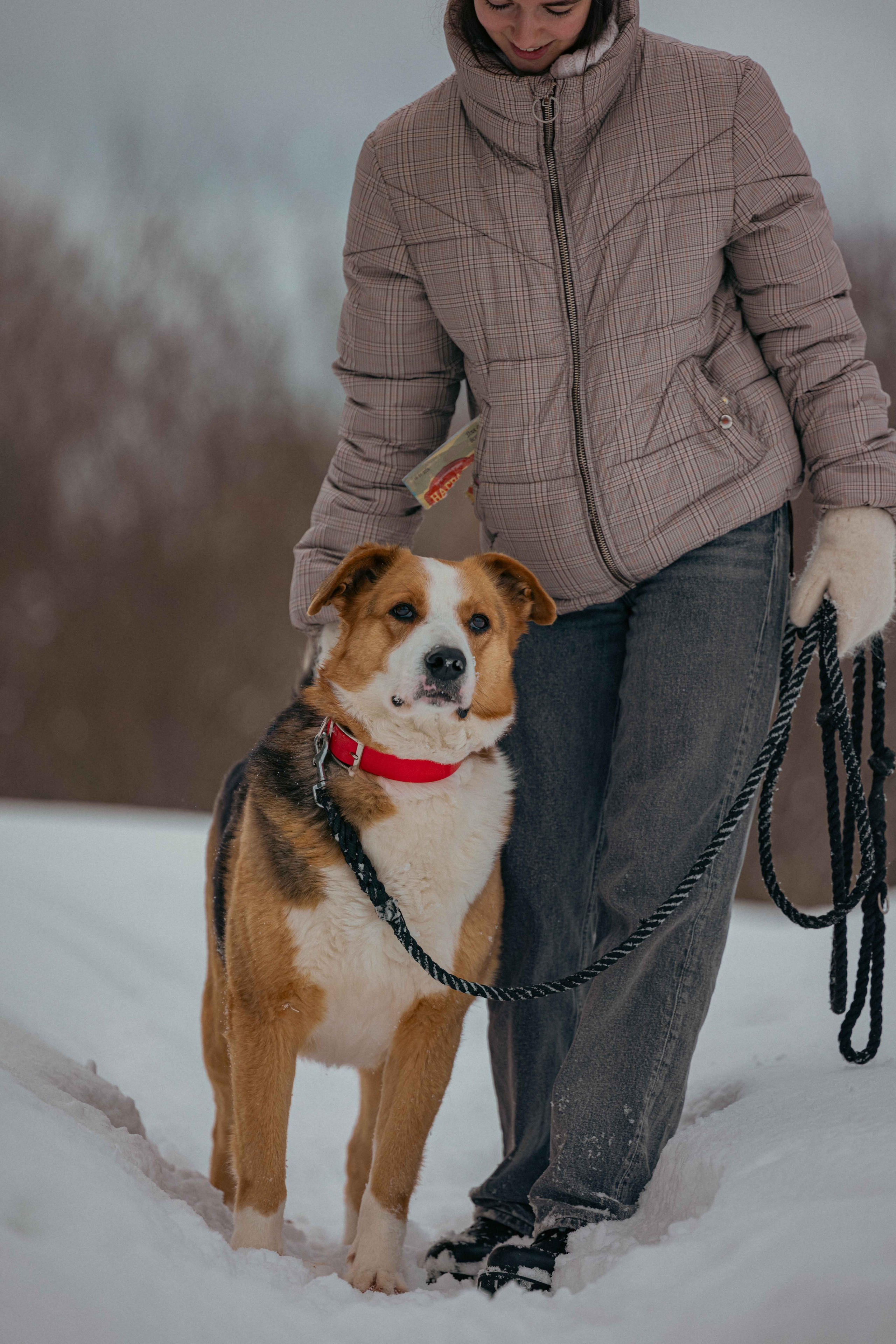 Петя. Фотограф-анималист в Москве Лера Черноног