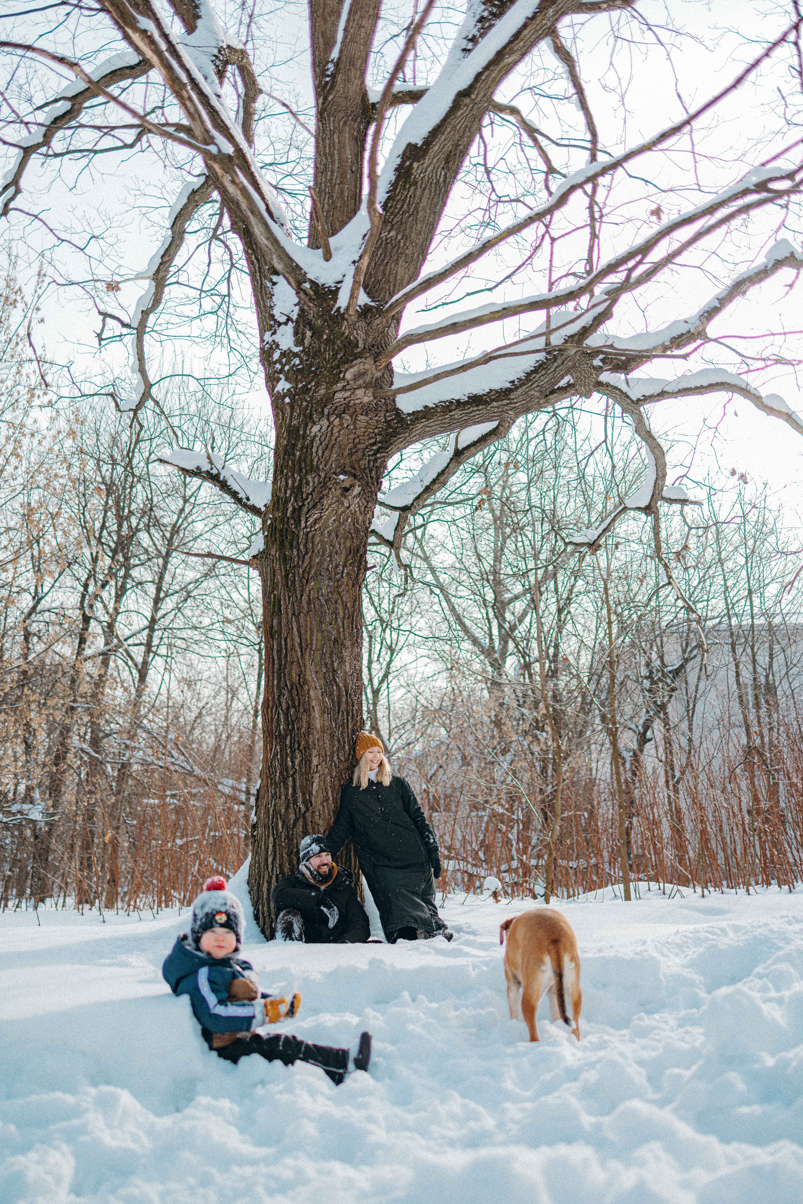 Свобода и ее семья. Фотограф-анималист в Москве Лера Черноног