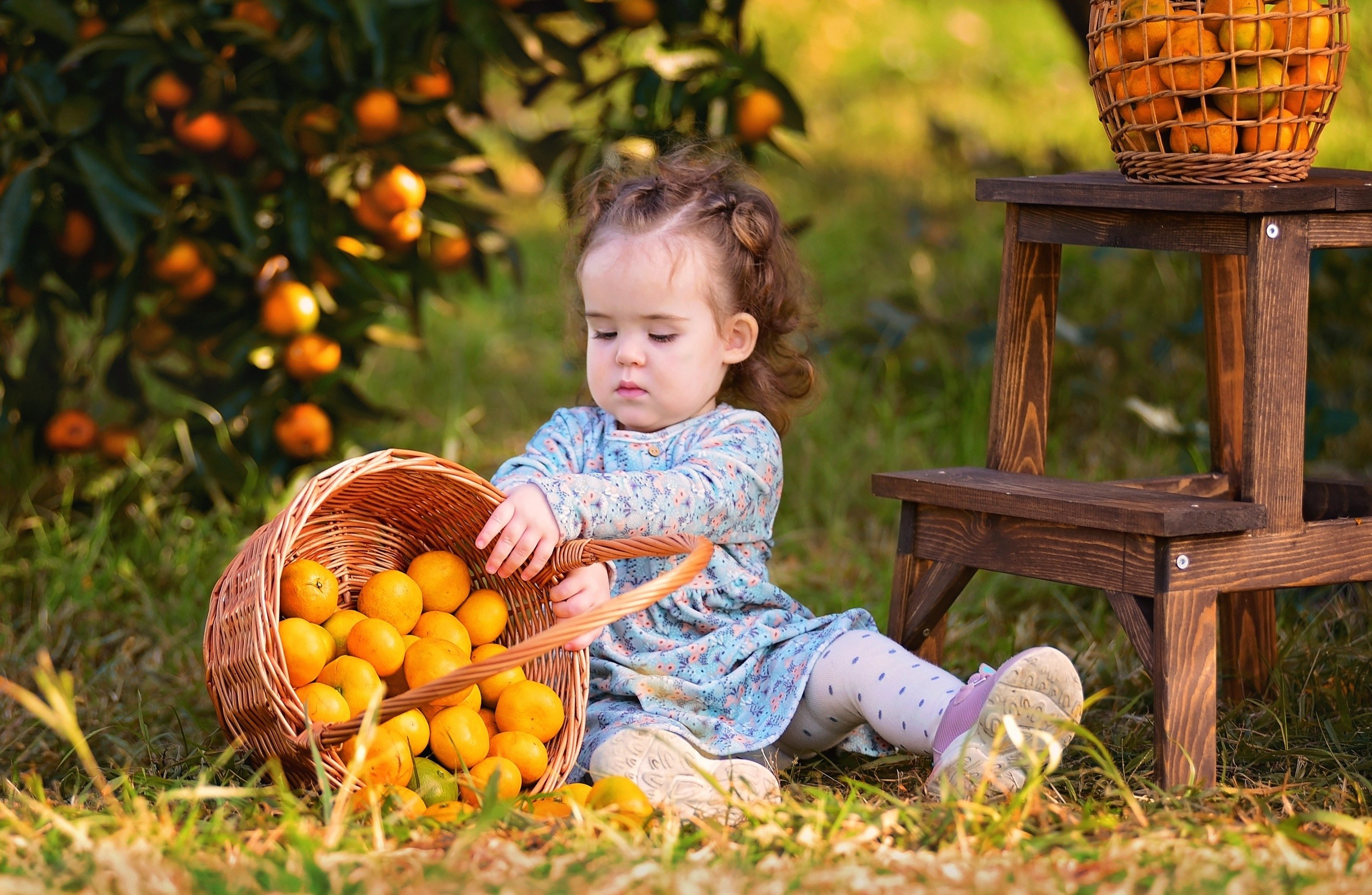 Мандарины. Главная