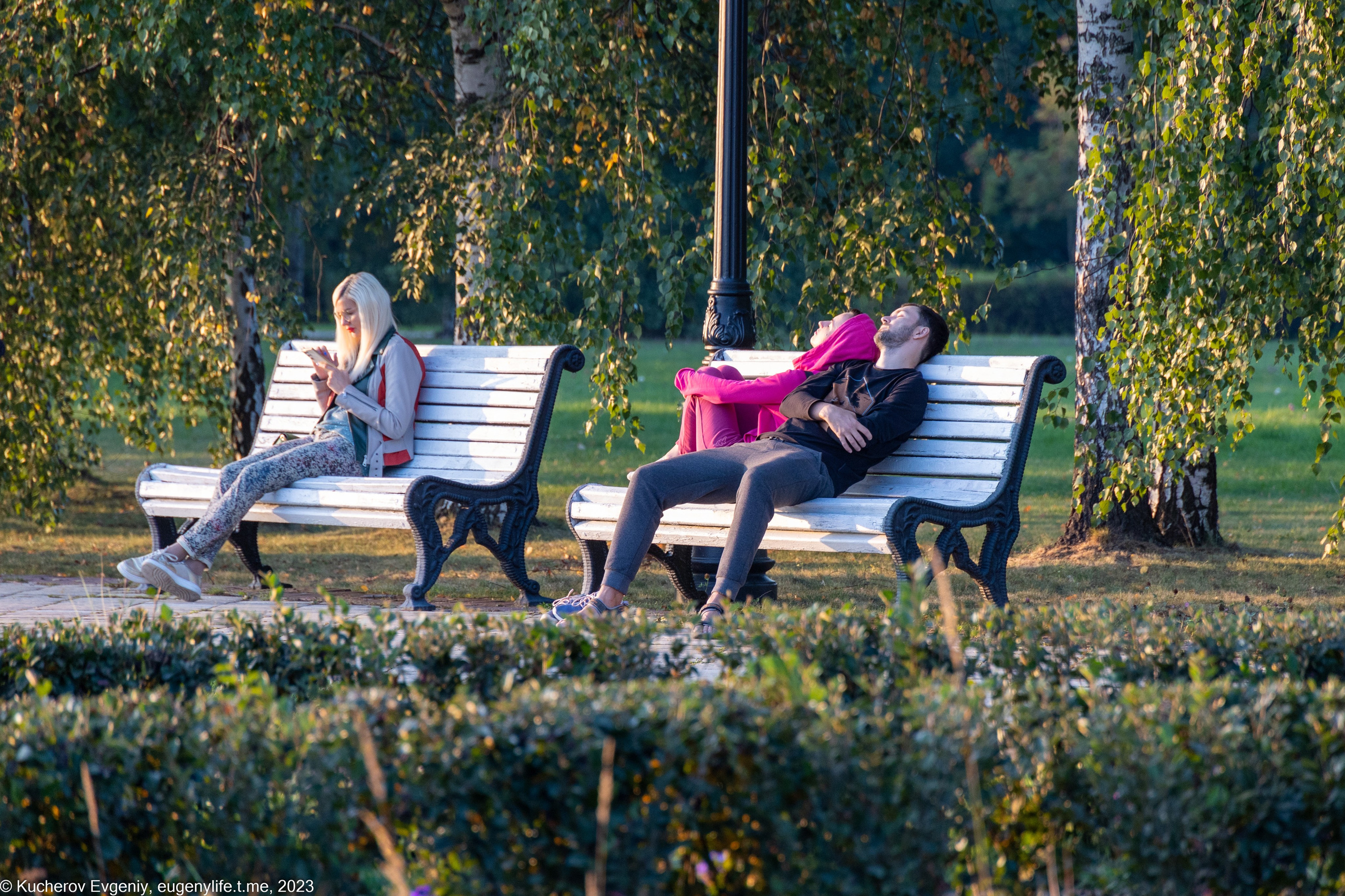 Скамейки. Кучеров Евгений. Фотограф