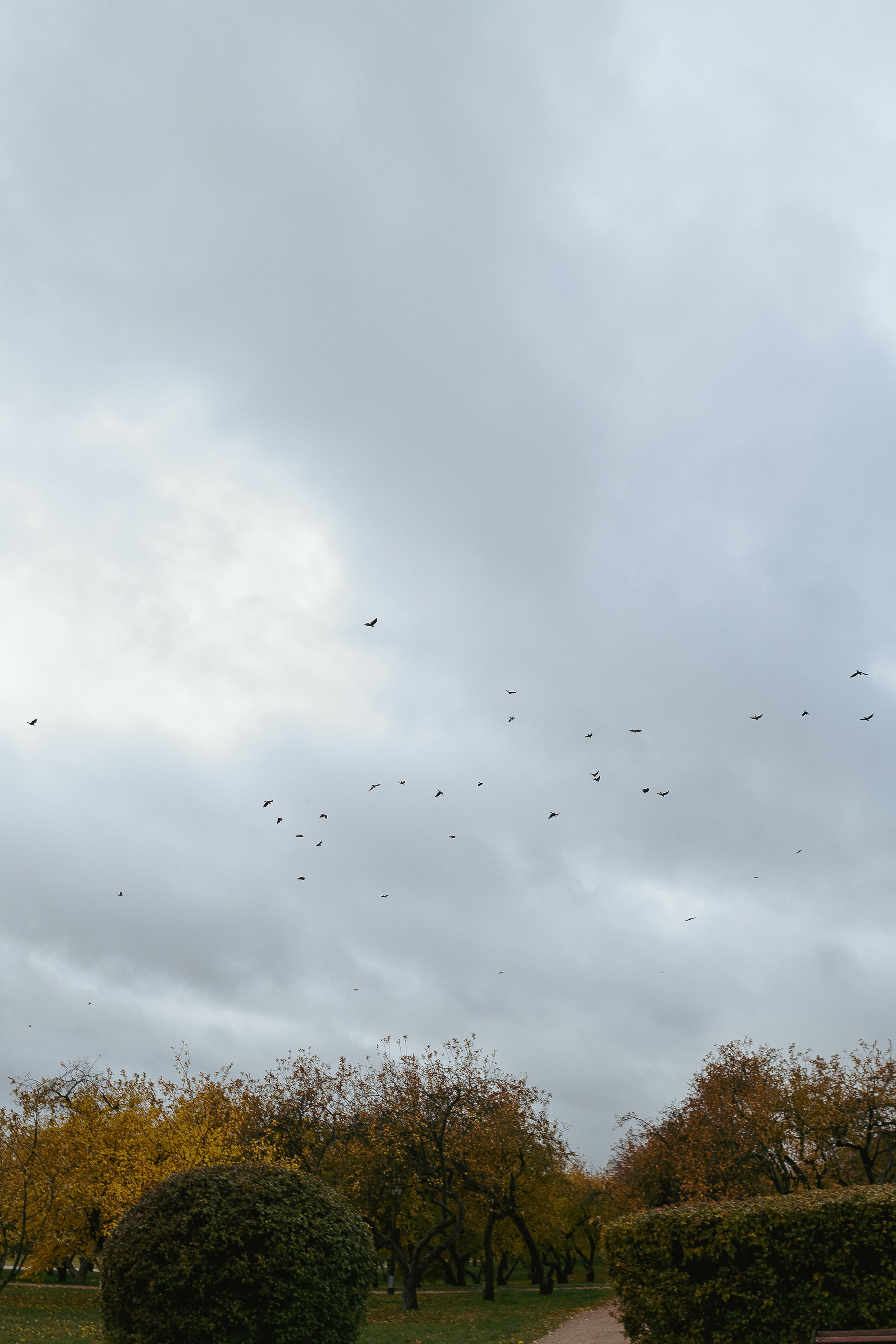 Саша. Фотограф Москва