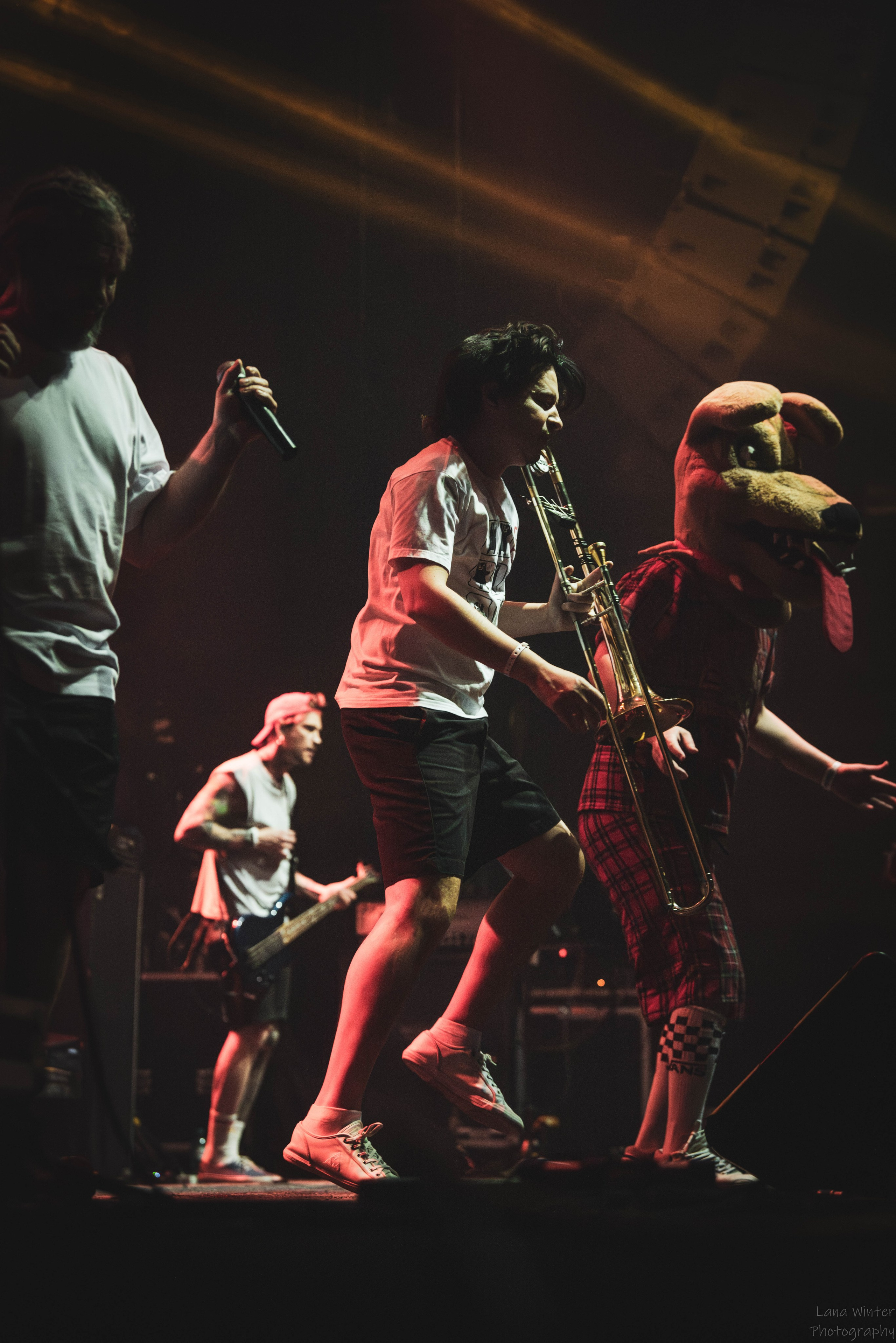 Distemper (4 января 2026 года, Москва, клуб Base). Фотограф Светлана Блинова, Москва и Московская область