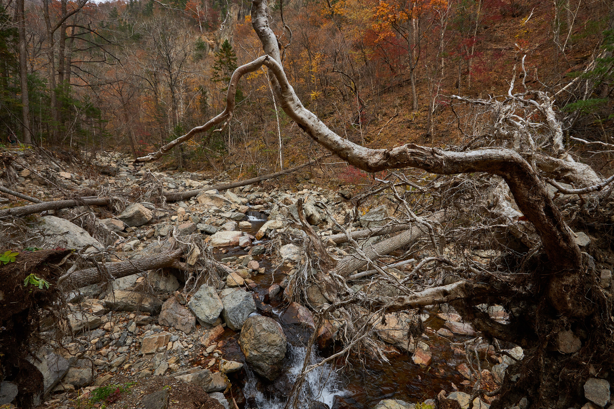 Пейзаж. Репортажный Фотограф во Владивостоке и России Осипчук Дмитрий