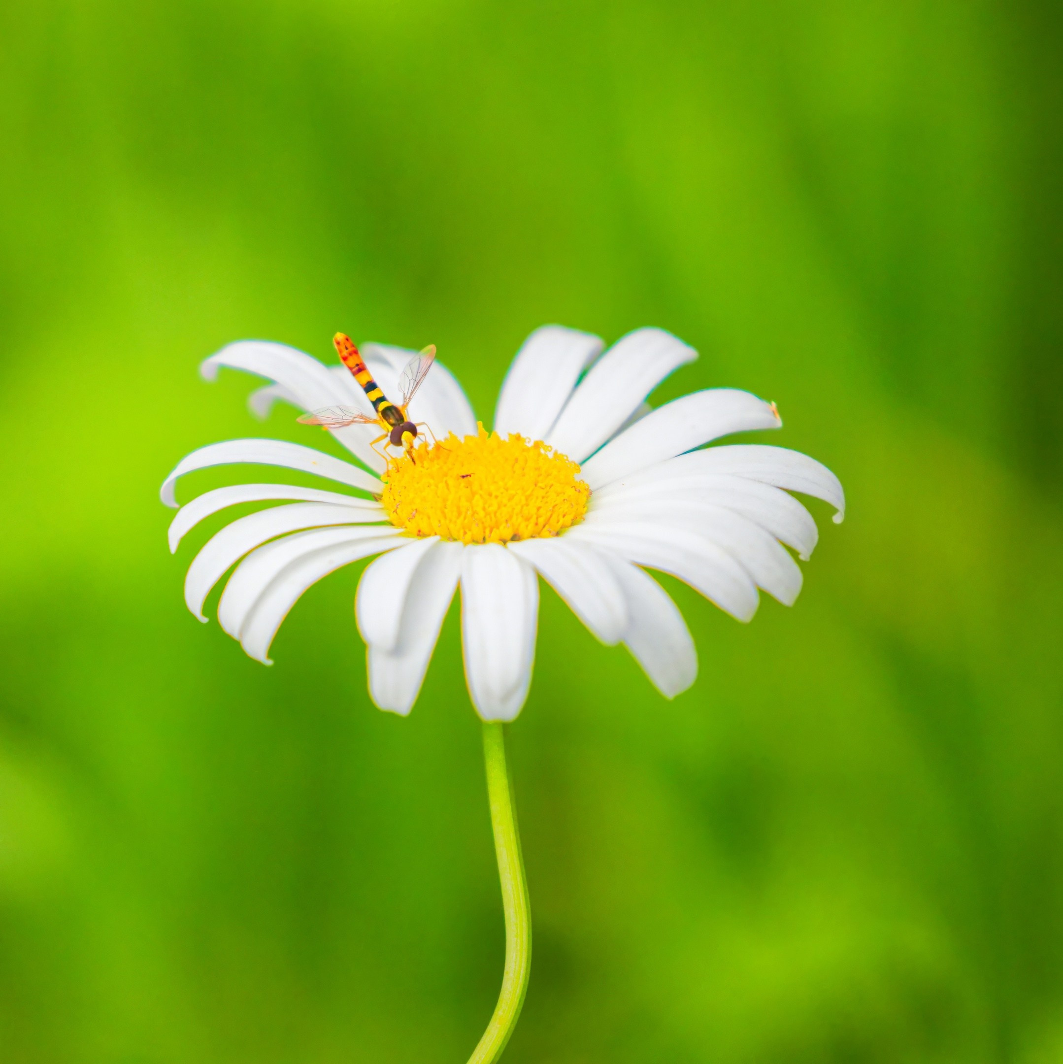 ПРИРОДА. Слепки времени. Фотографии природы и событий. Москва. Сергей Аллагулов
