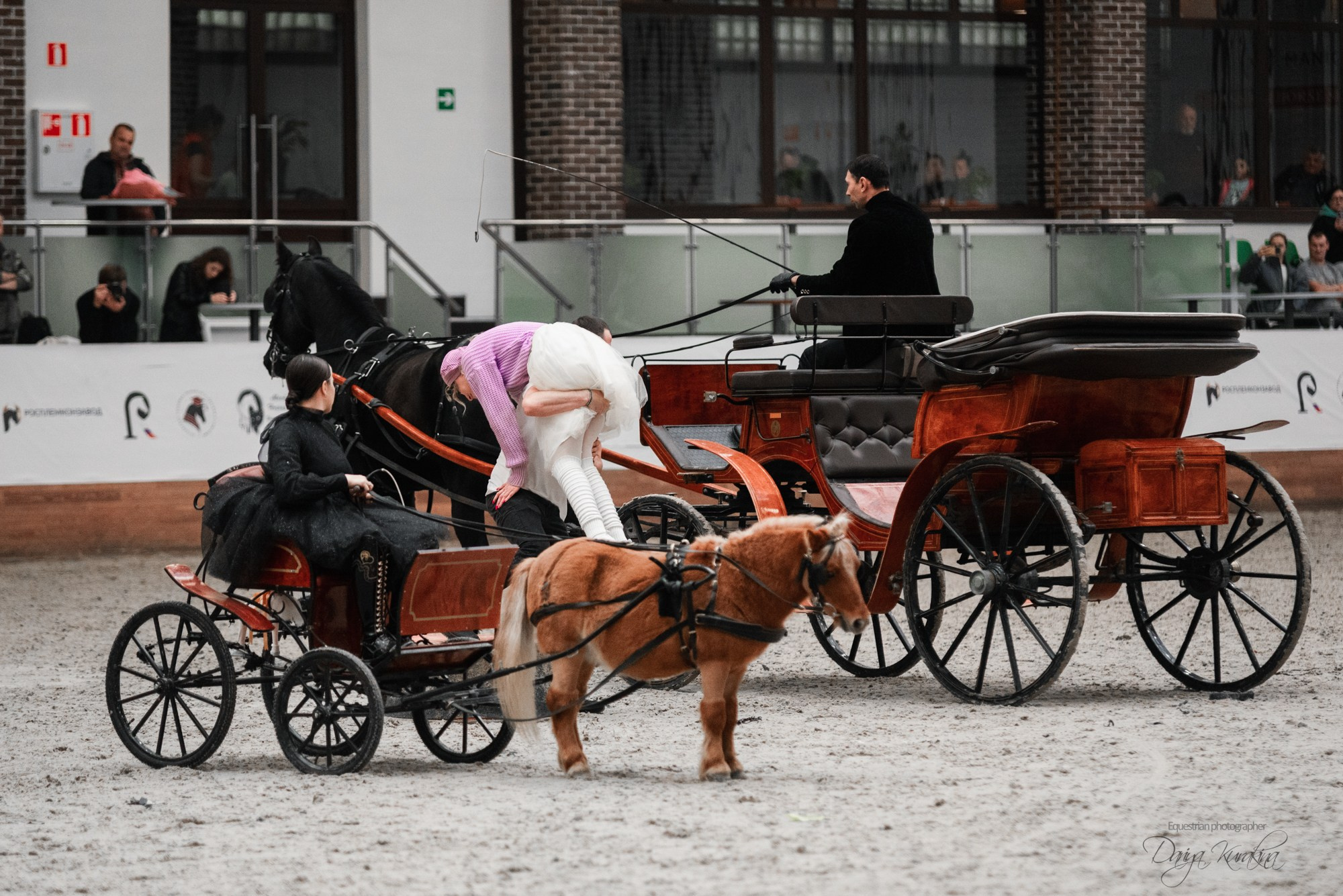 8-я международная выставка Конная Россия. Конный фотограф Куракина Дарья • Фотосессии с лошадьми