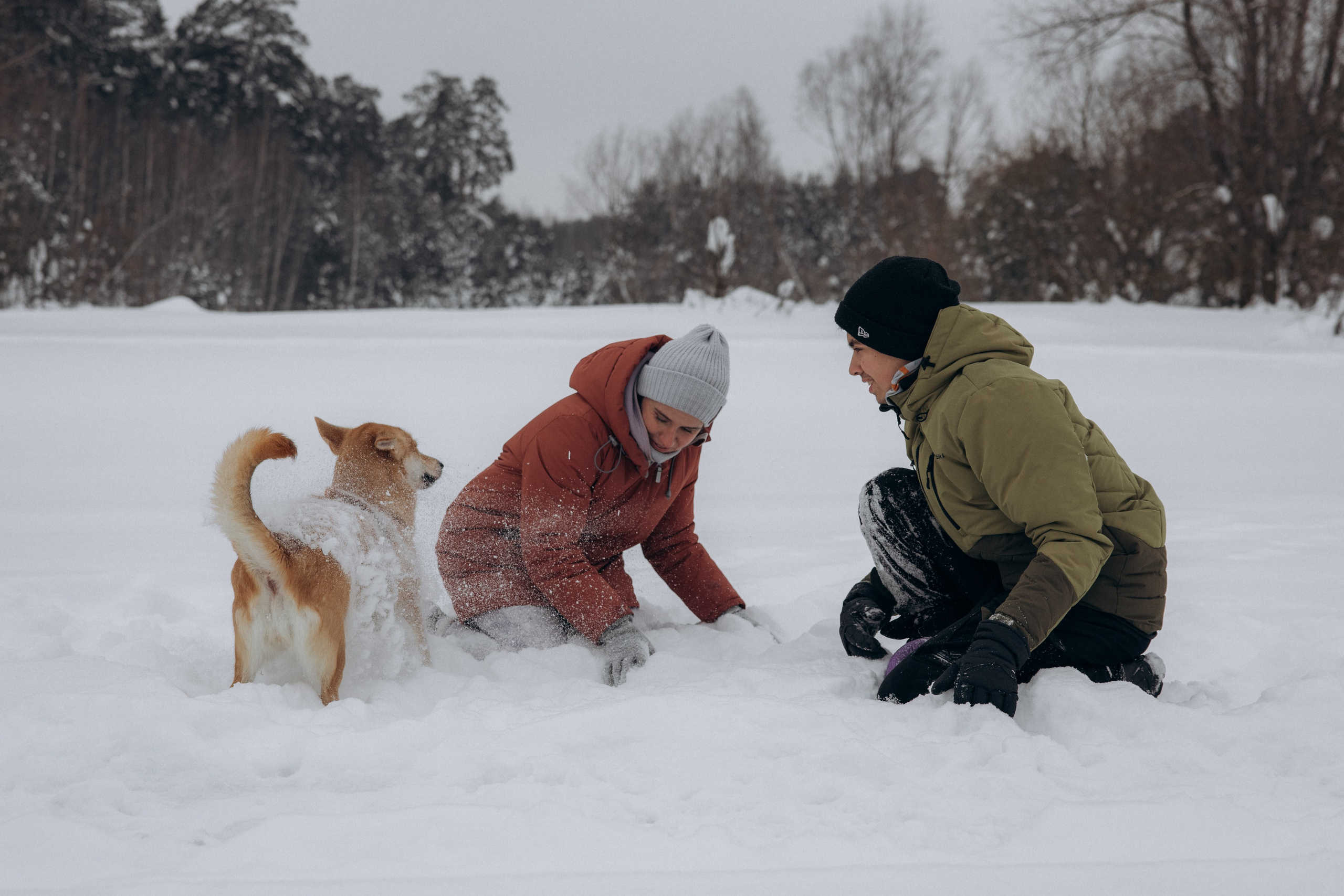 Прогулка на озере зимой. Фотограф анималист в Казани Алина Сулейманова. Фотограф животных