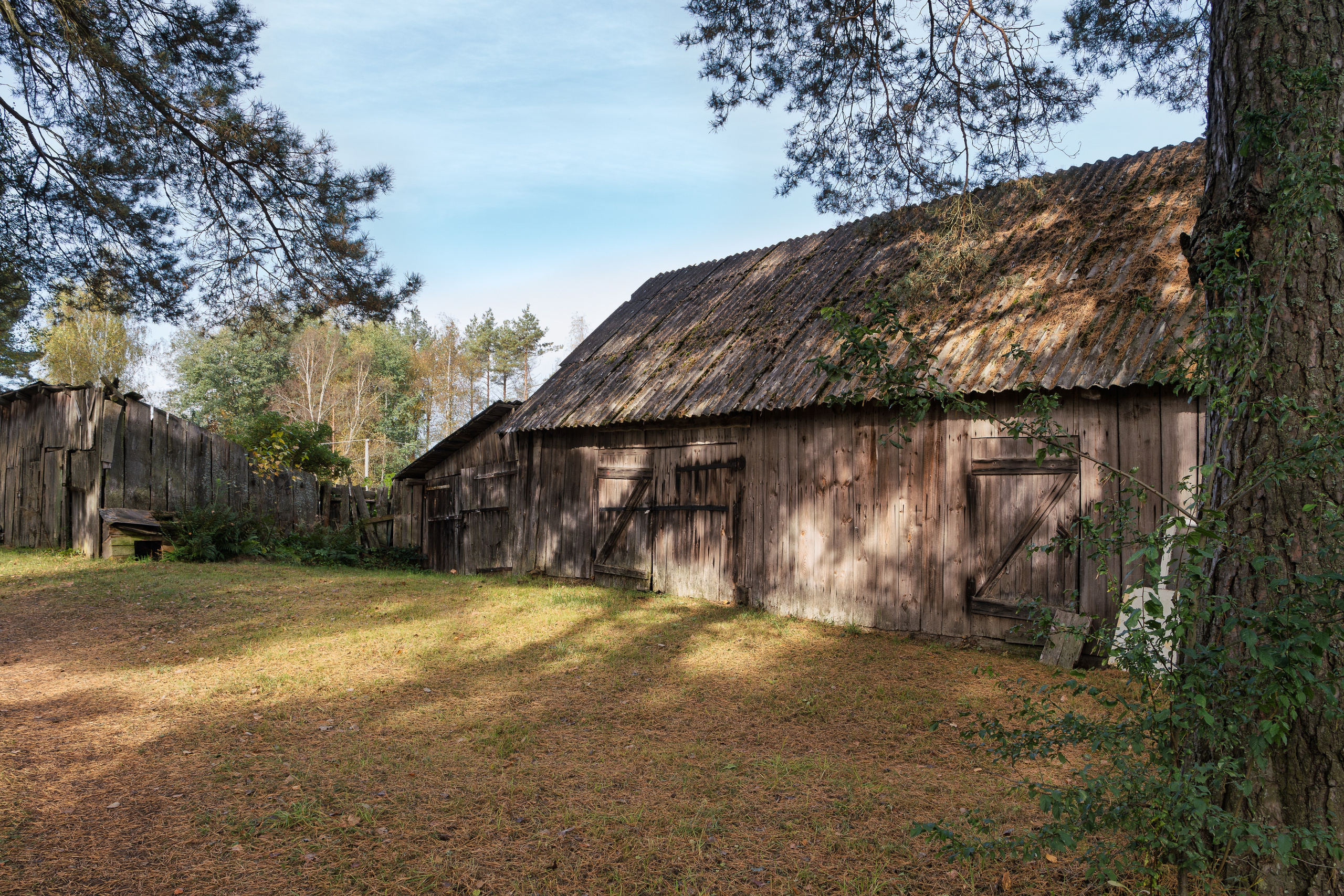 Голубые озера, Псковская область. Октябрь 2024. Фотограф Никифоров-Гордеев Сергей. Москва и МО