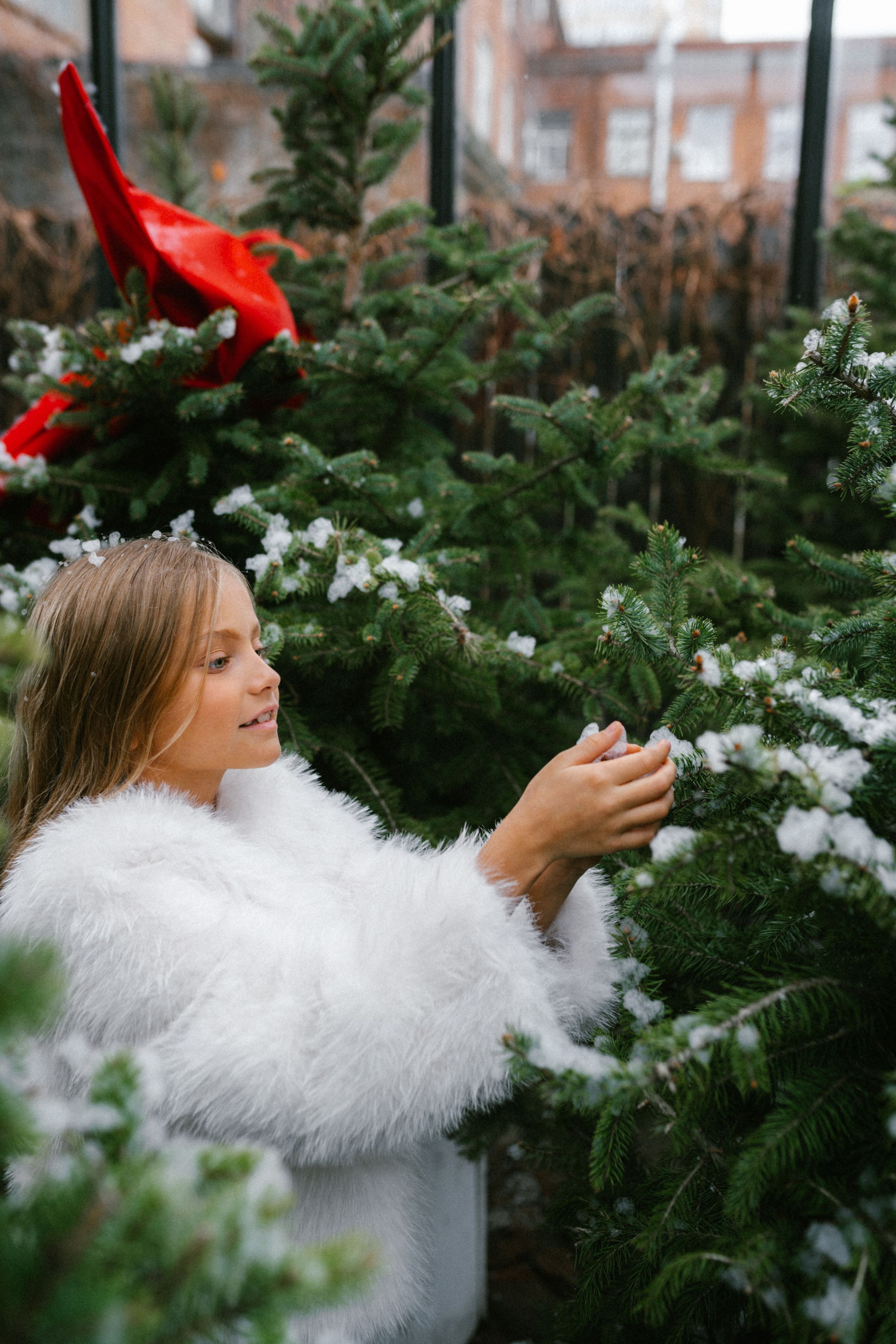 Даша семейная съемка. Фотограф в Краснодаре Баева Кристина