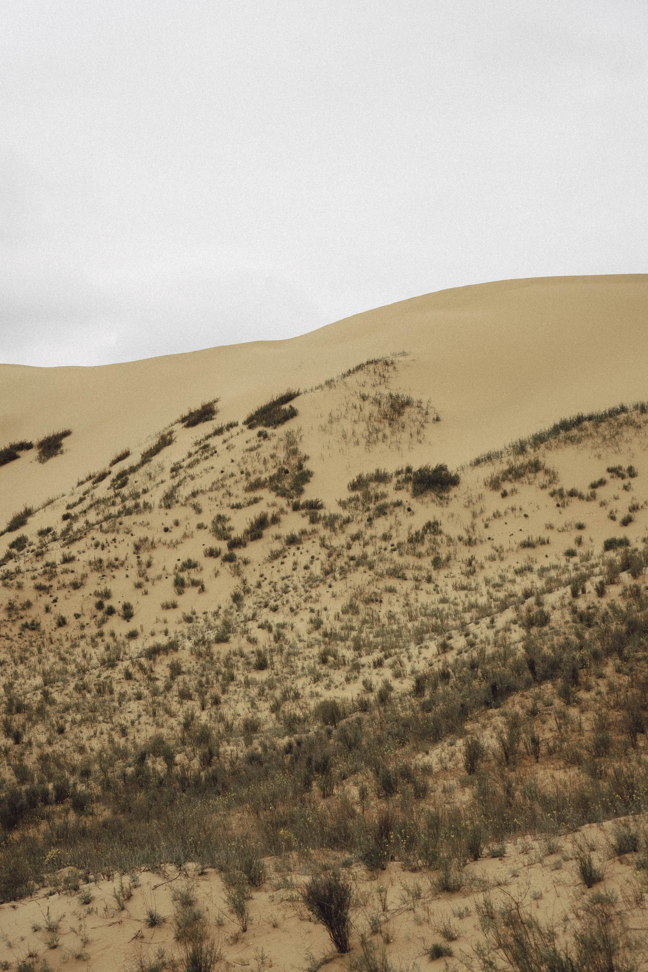 Кавказ. Профессиональный фотограф, Санкт-Петербург — Виктория Богомолова