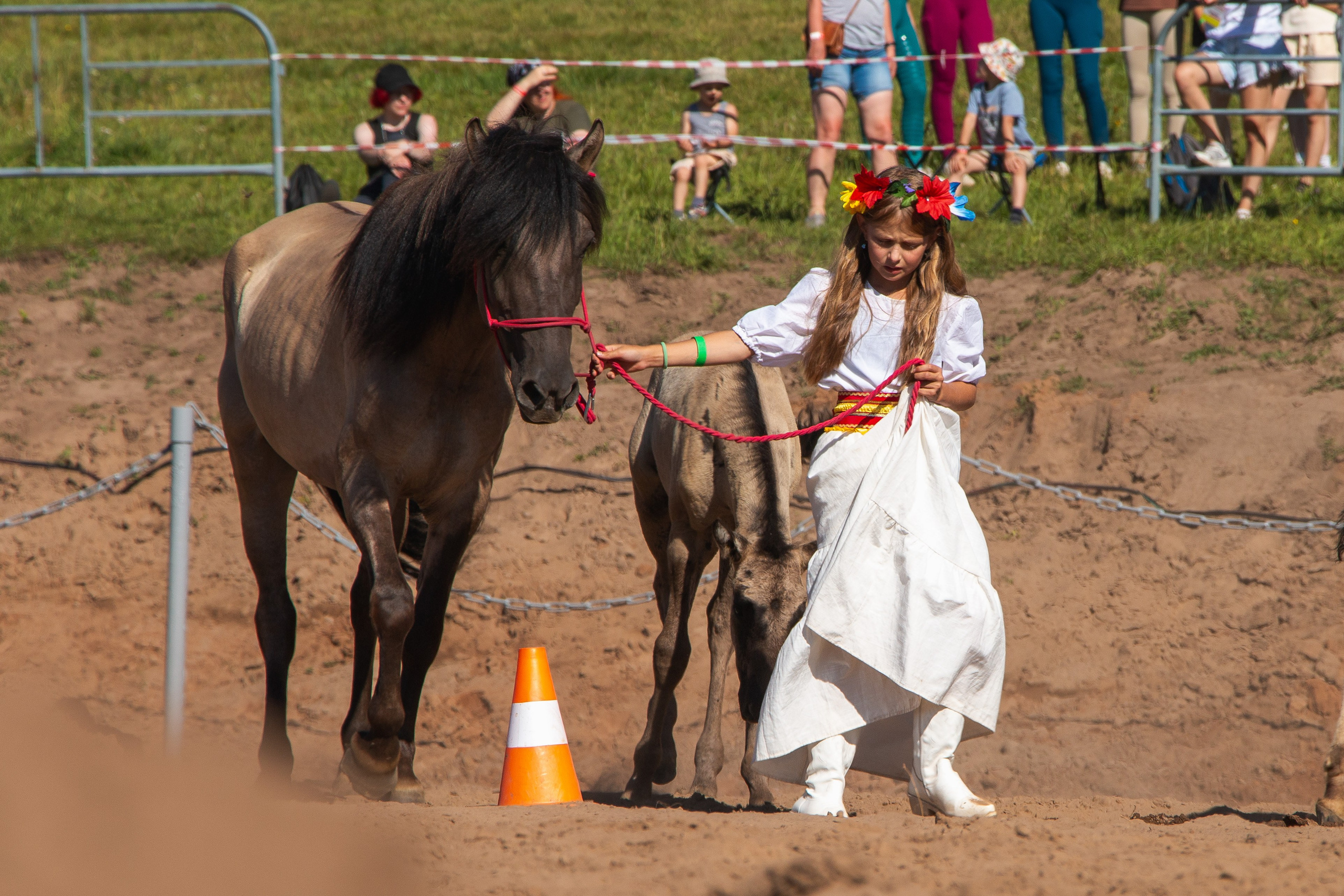 Конь-огонь 2025. Олег Романов. Мастер фото по спорту