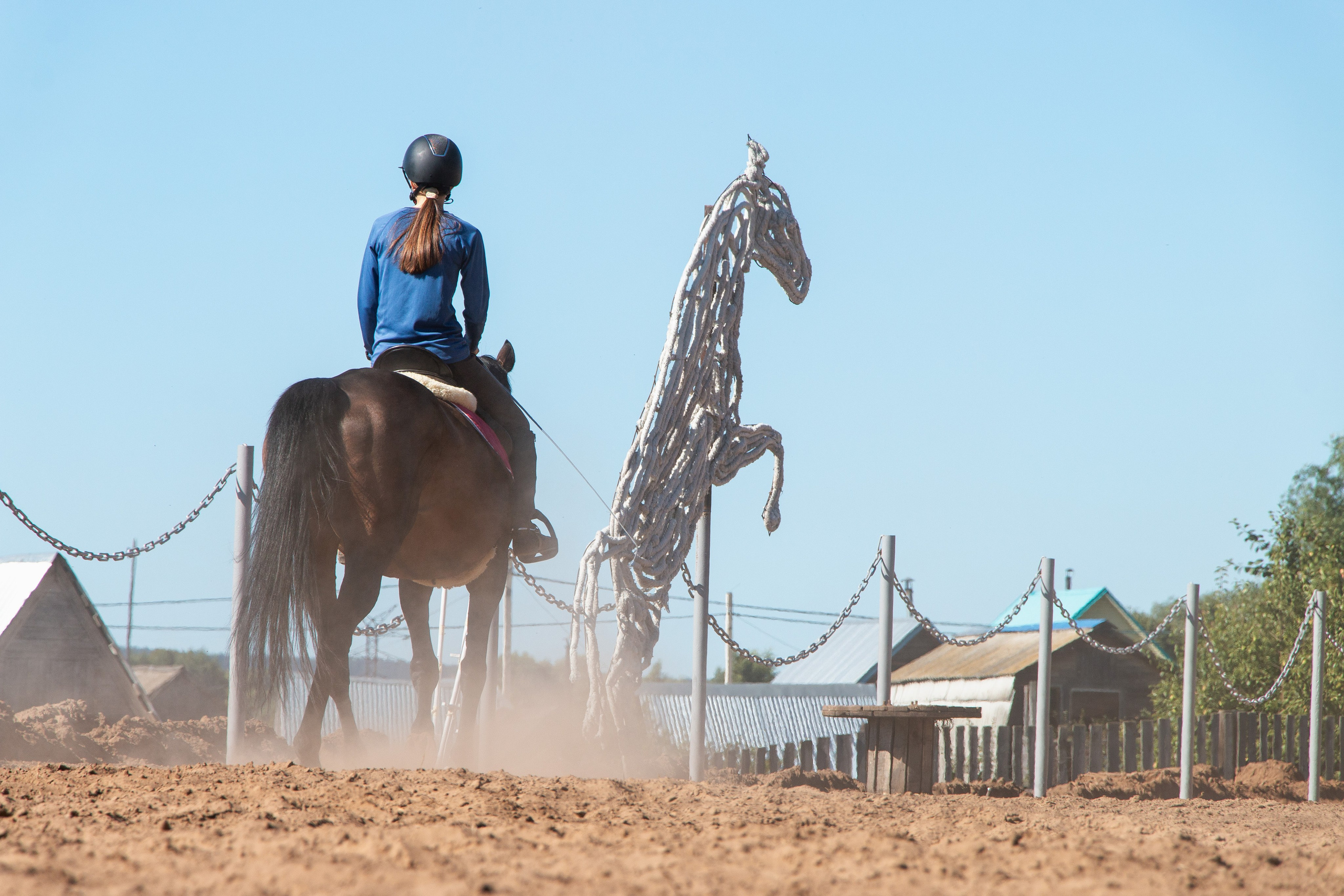 Конь-огонь 2025. Олег Романов. Мастер фото по спорту
