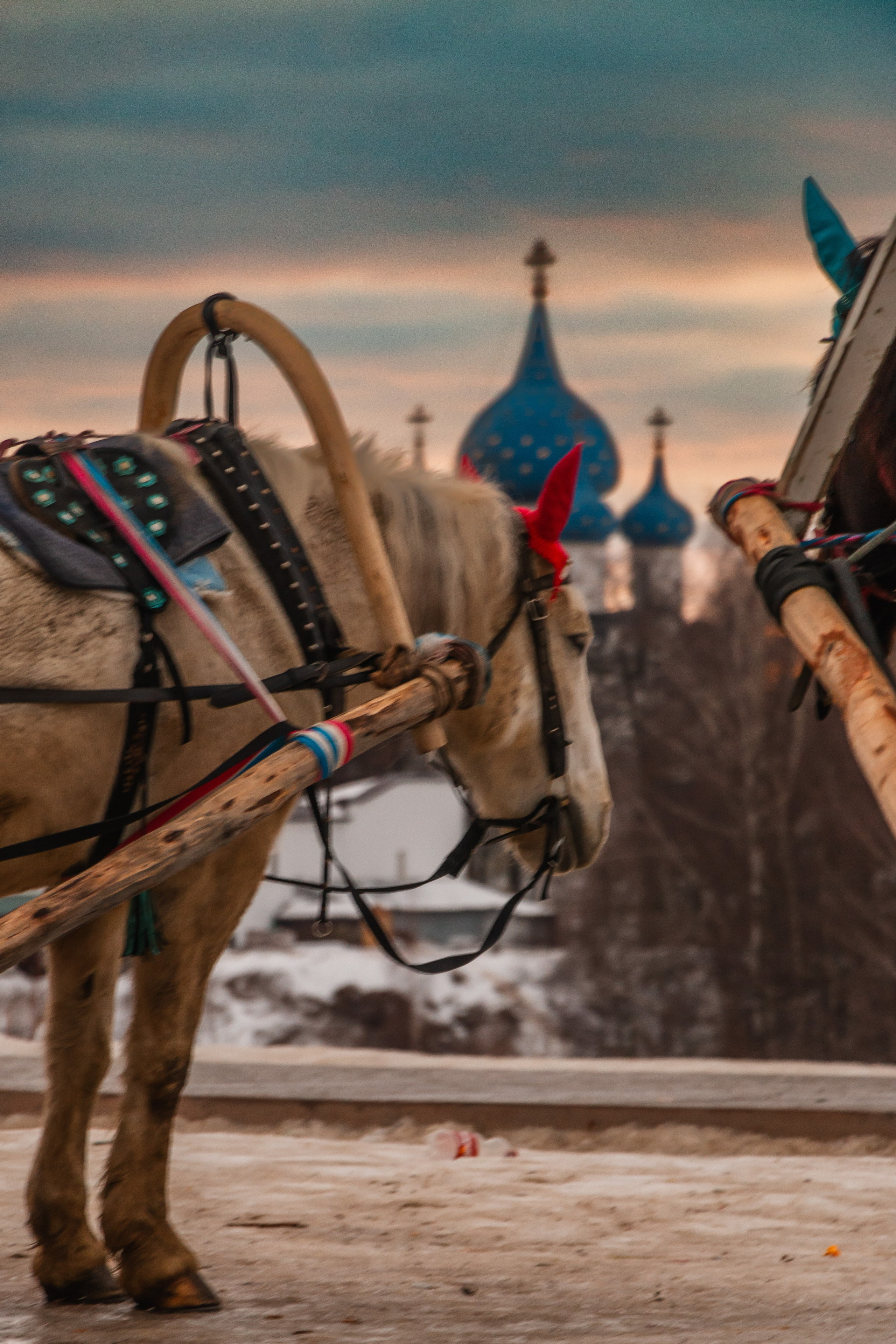 Суздаль. Олег Романов. Мастер фото по спорту