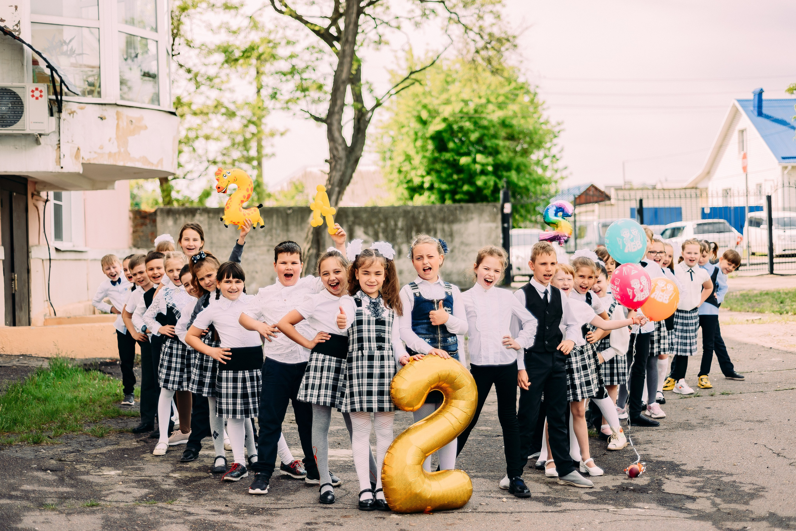 2 «А» | Школа № 17| г. Лиски |2022. ALBUMIA