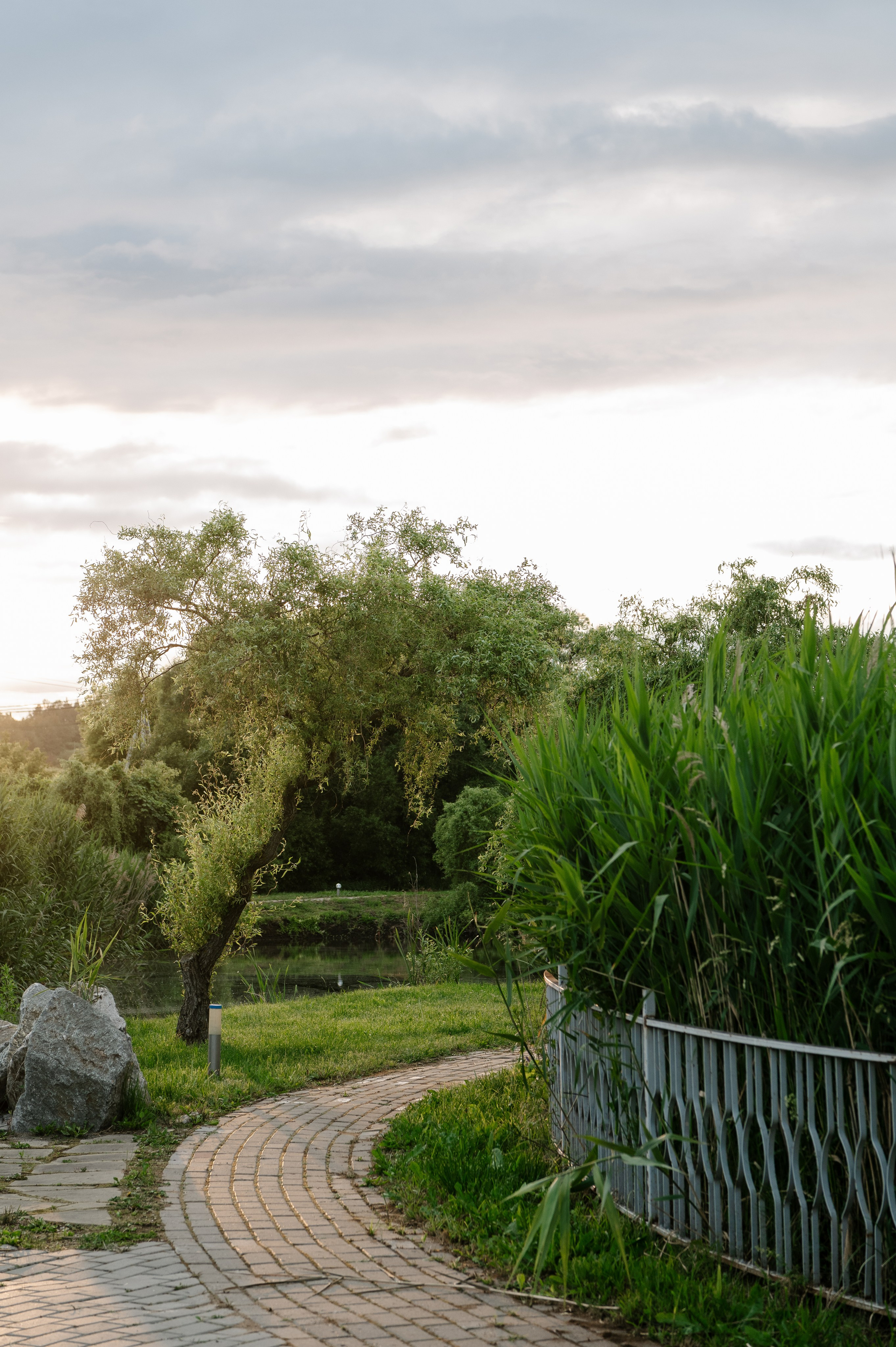 Вячеслав и Ксения. Свадебный фотограф Белгород