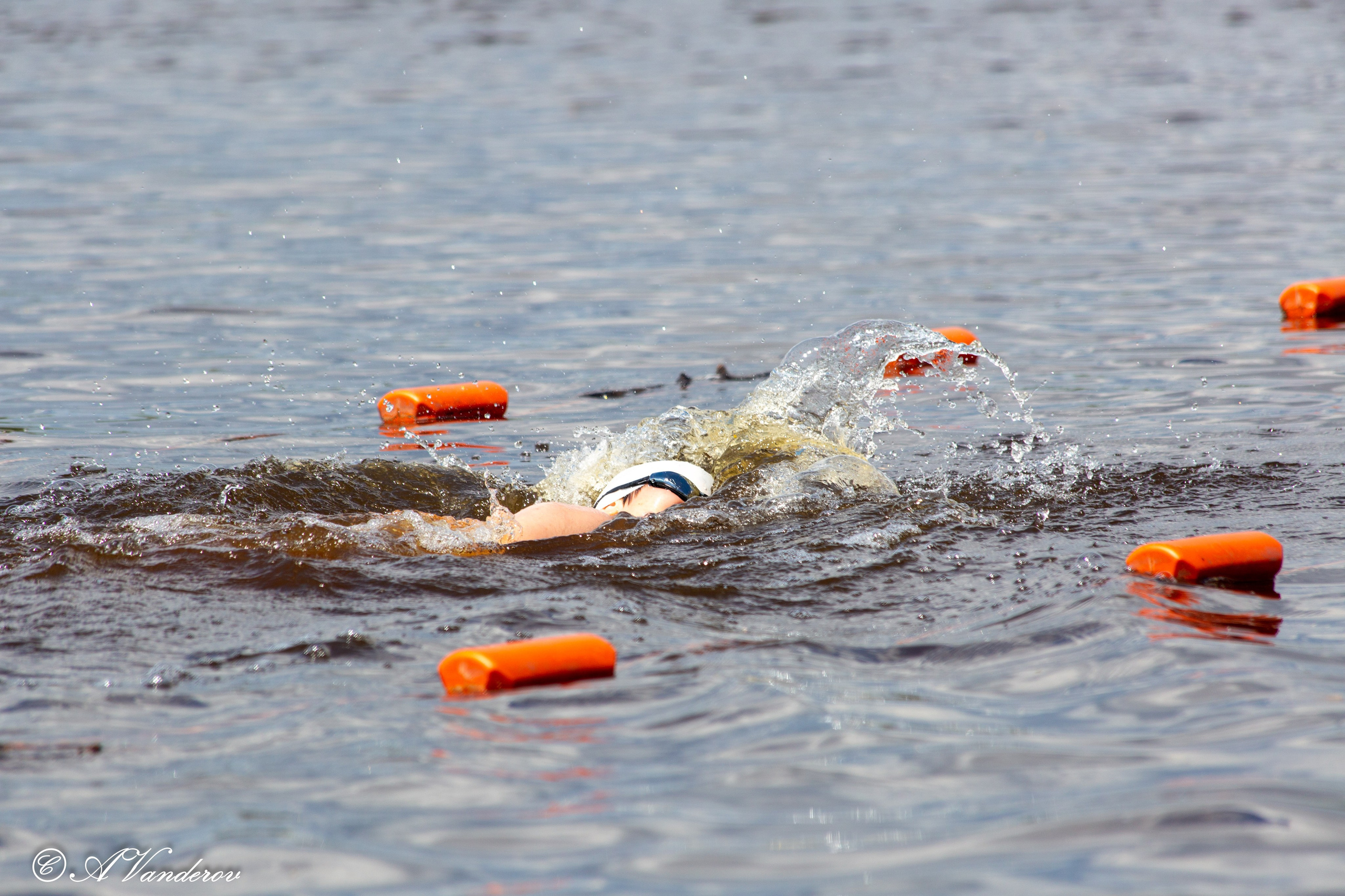 Заплыв 02.06.2024. Фотограф Омск | Александр Вандеров