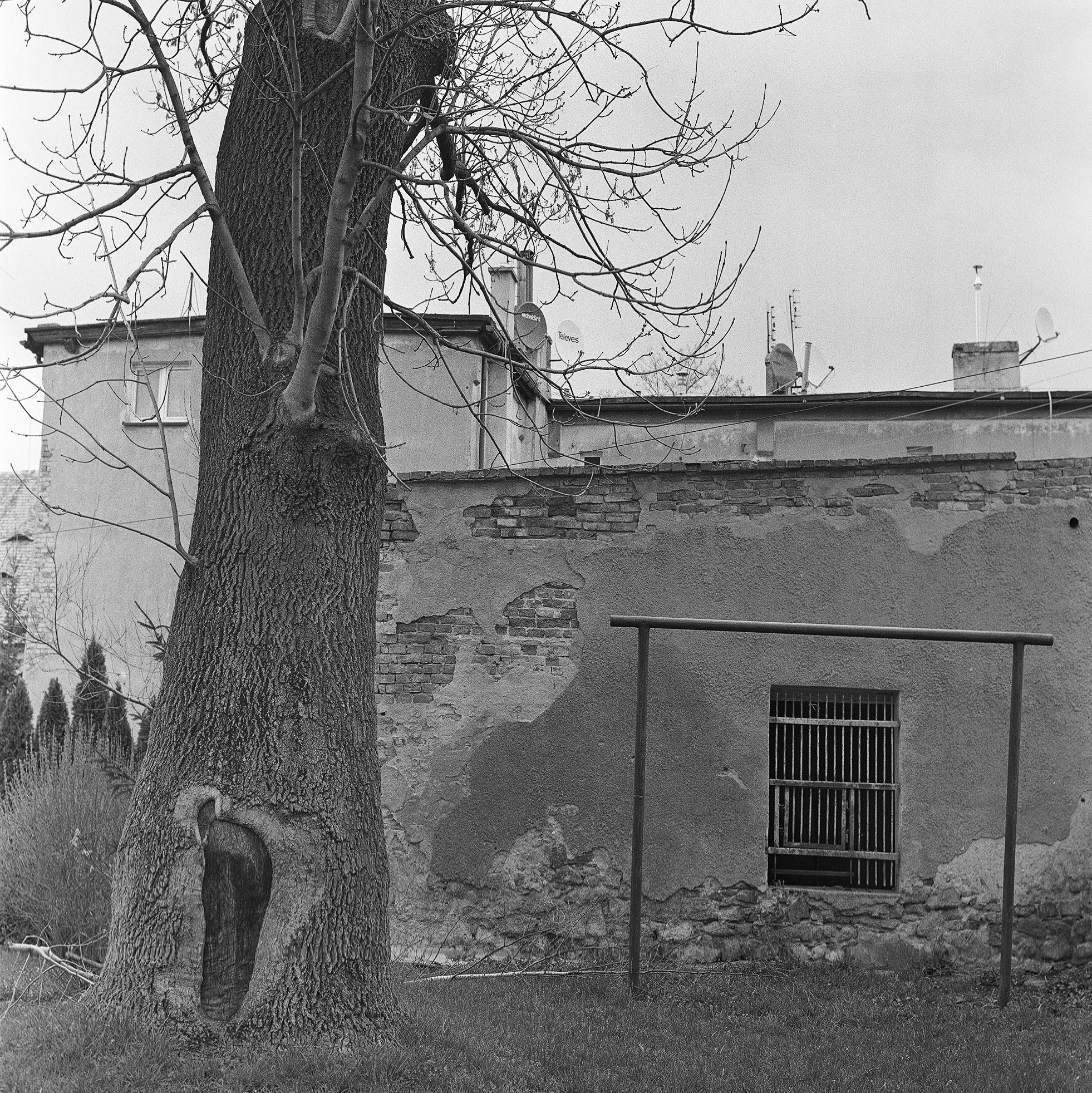 Growing pains. Photographer, Documentary and Art