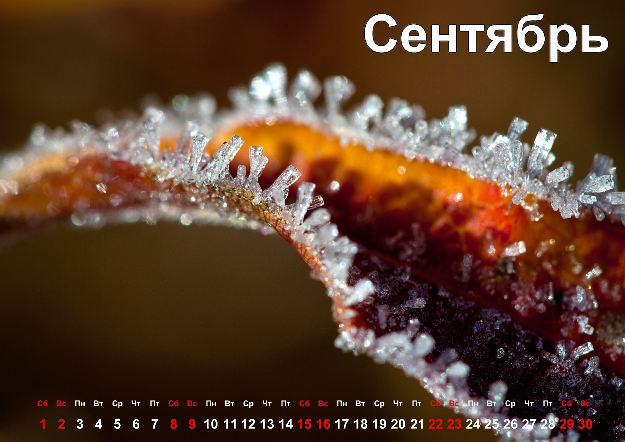 Свадебный фотограф в Геленджике