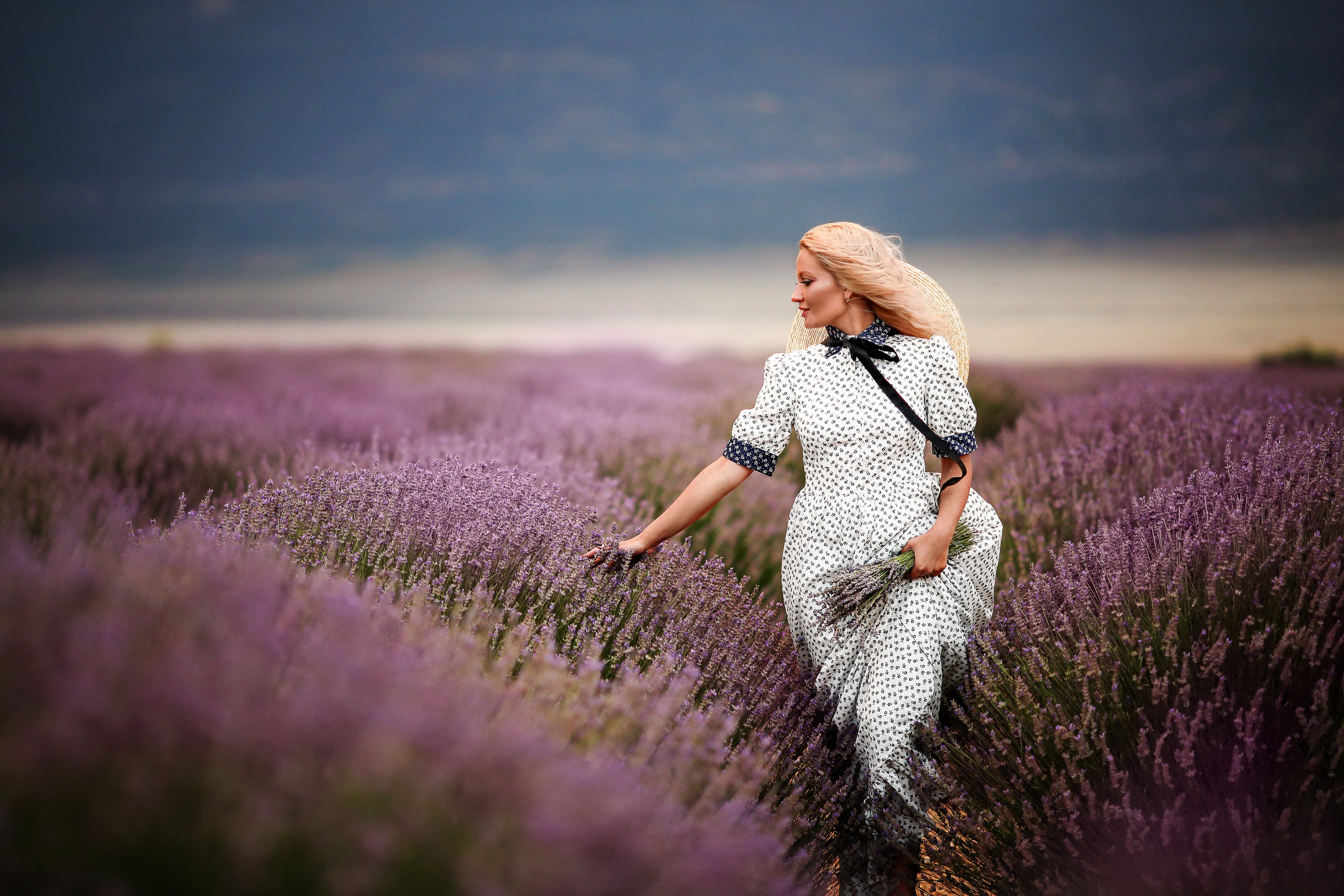Lavender fields in Turkey