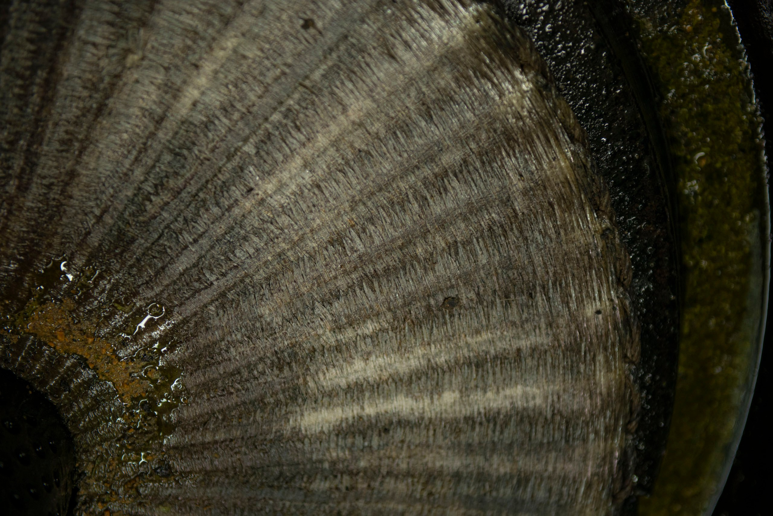 Абстрактный крупный план поверхности массивного вращающегося каменного жернова (мельничного камня) с радиальными бороздами и маслянистыми следами в процессе производства оливкового масла.