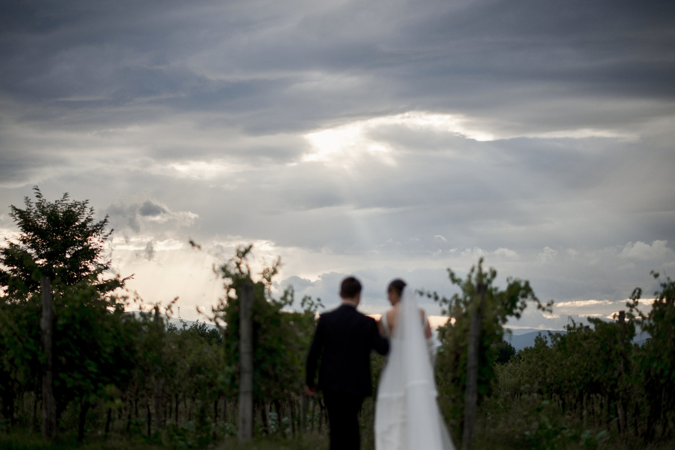 Michael & Dinara. Свадебный и портретный фотограф Пётр Ладанов