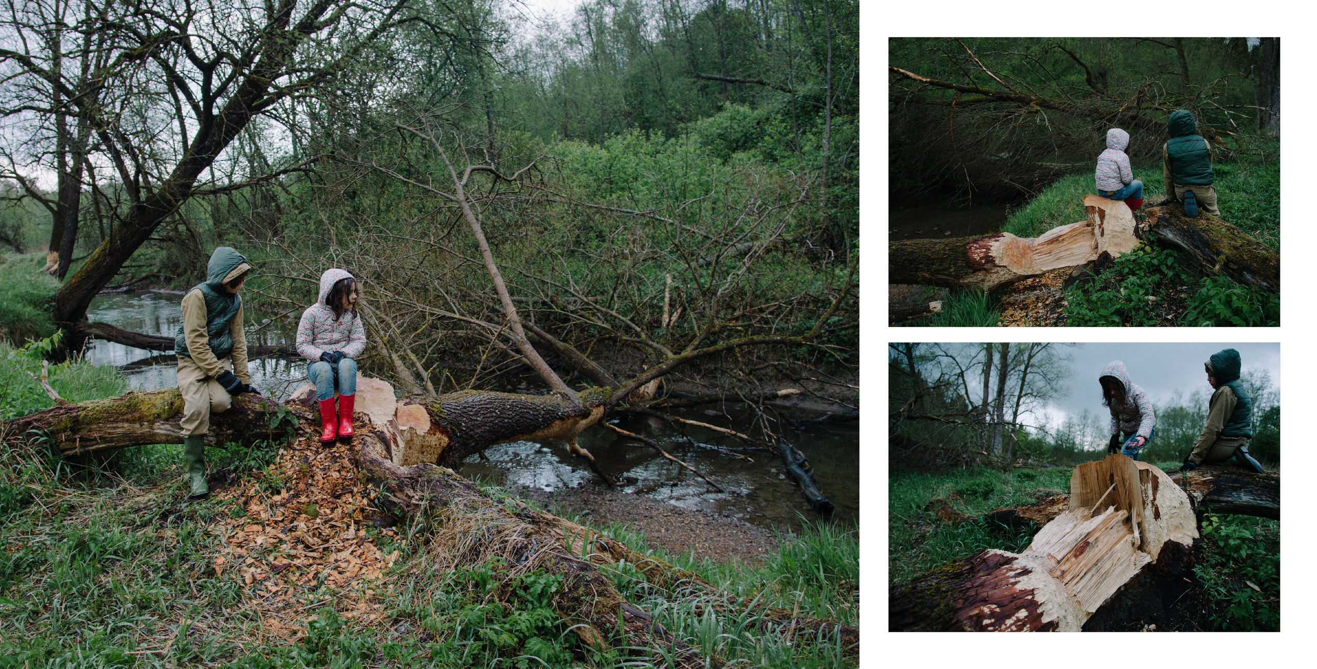 Деревня. Фотограф Алиса Калинина
