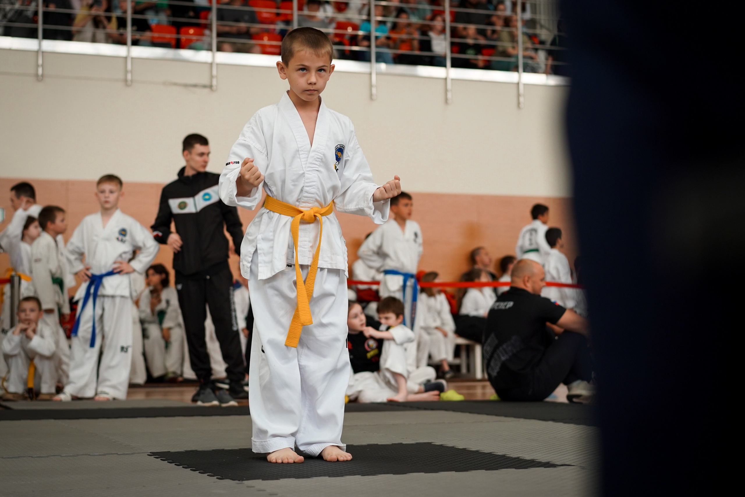 Тхэквандо — соревнования. Выпускные альбомы Натальи Бутко: Новороссийск, Анапа, Геленджик